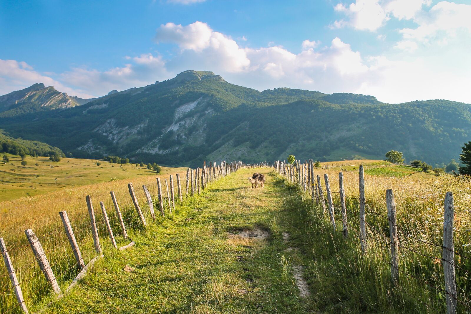 Canon EOS 1100D (EOS Rebel T3 / EOS Kiss X50) sample photo. Wanderlust, hiking, mountains photography