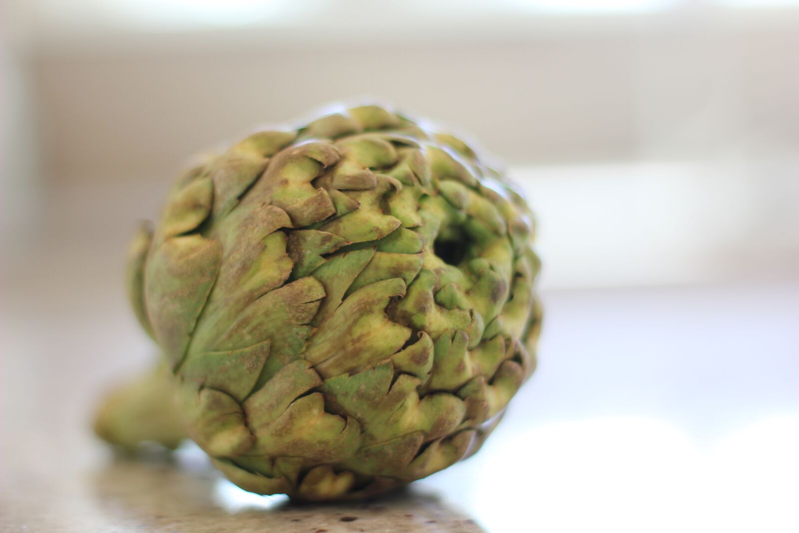 Canon EOS 550D (EOS Rebel T2i / EOS Kiss X4) sample photo. Food, artichokes, fresh photography