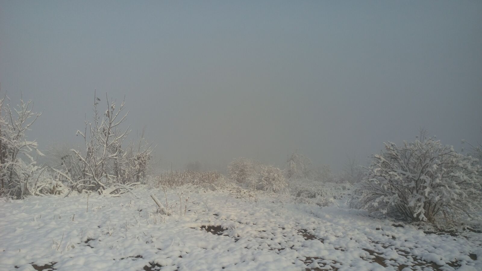 HTC ONE E9PLUS DUAL SIM sample photo. Winter, snow, cold photography