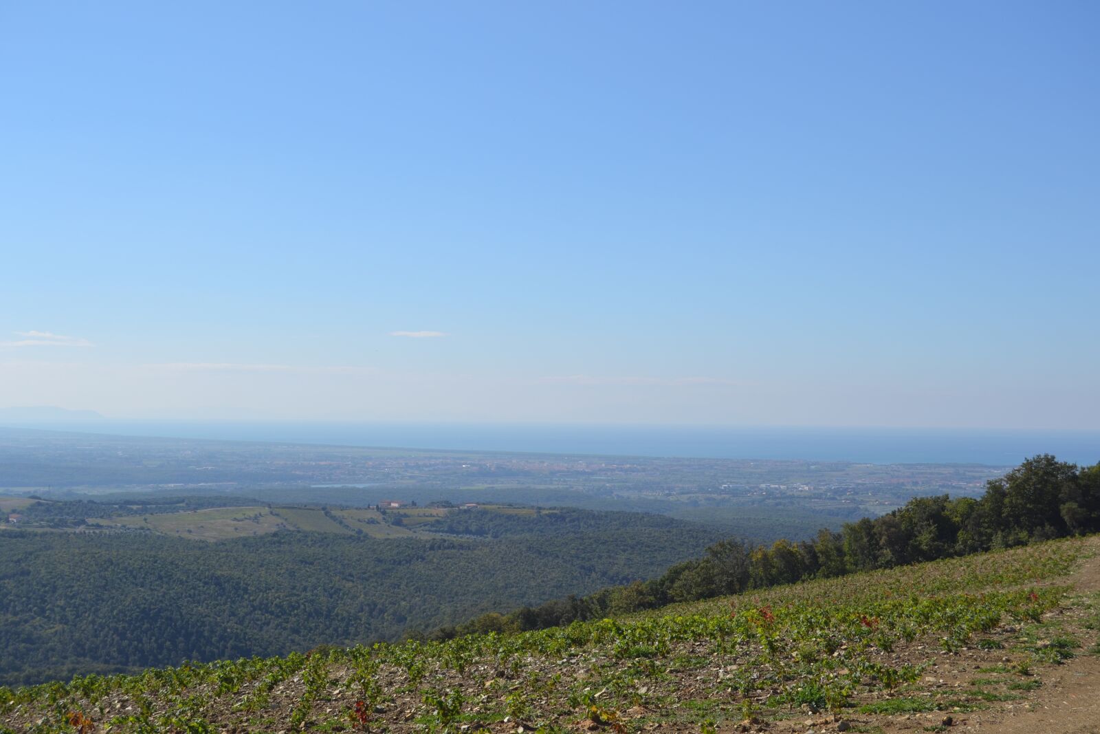 Nikon D3100 sample photo. Vineyard, sea, landscape photography