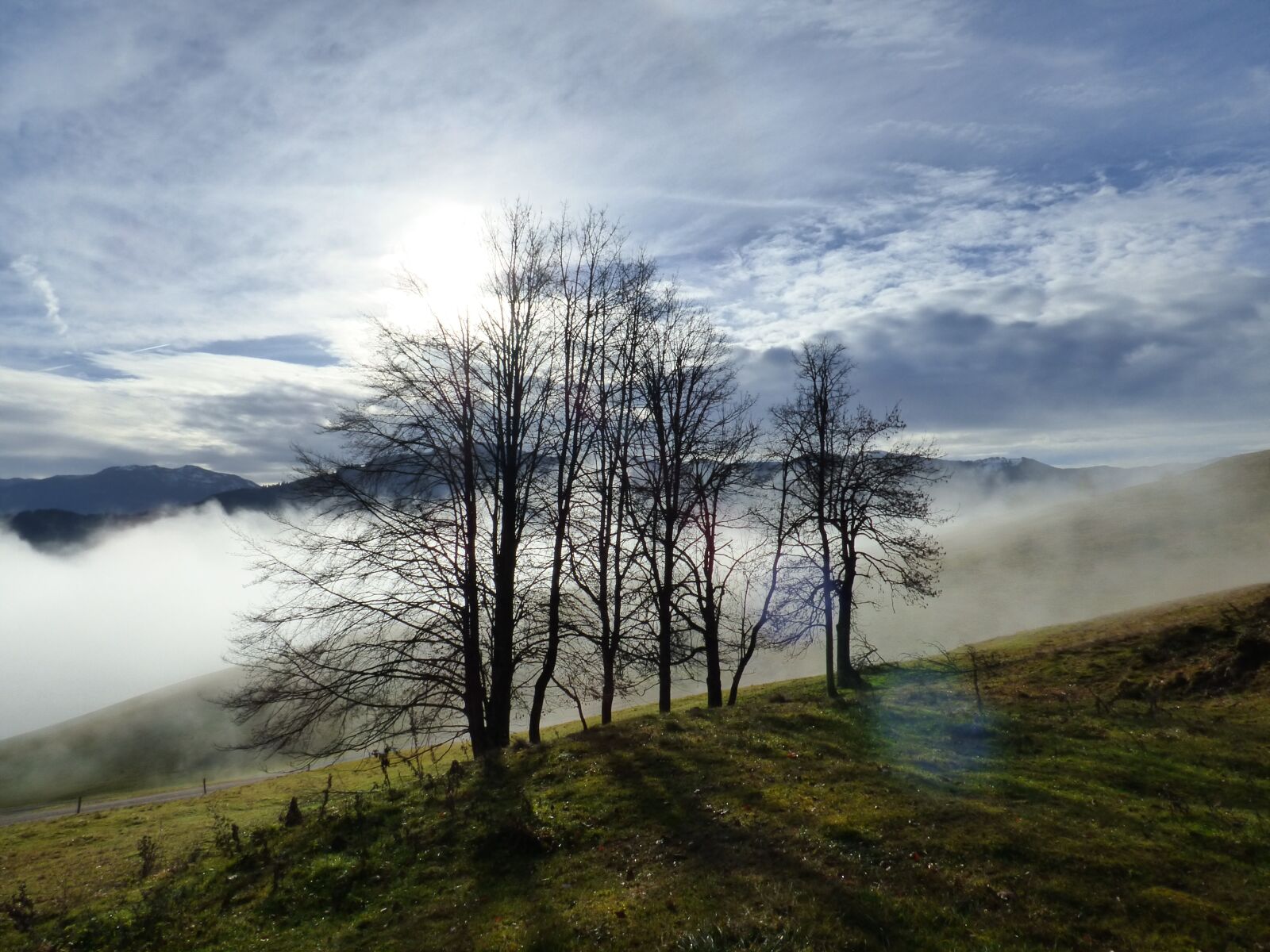 Panasonic DMC-FZ72 sample photo. Autumn, fog, landscape photography
