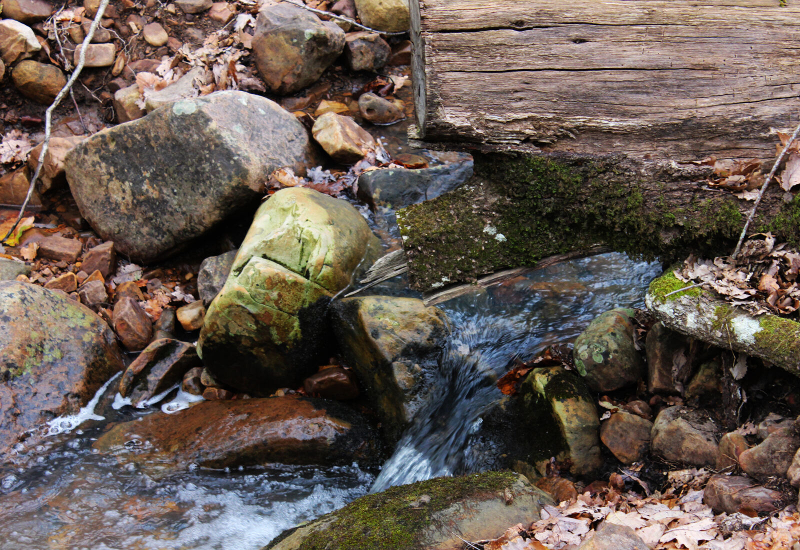 Canon EOS 600D (Rebel EOS T3i / EOS Kiss X5) sample photo. Nature, river, water photography