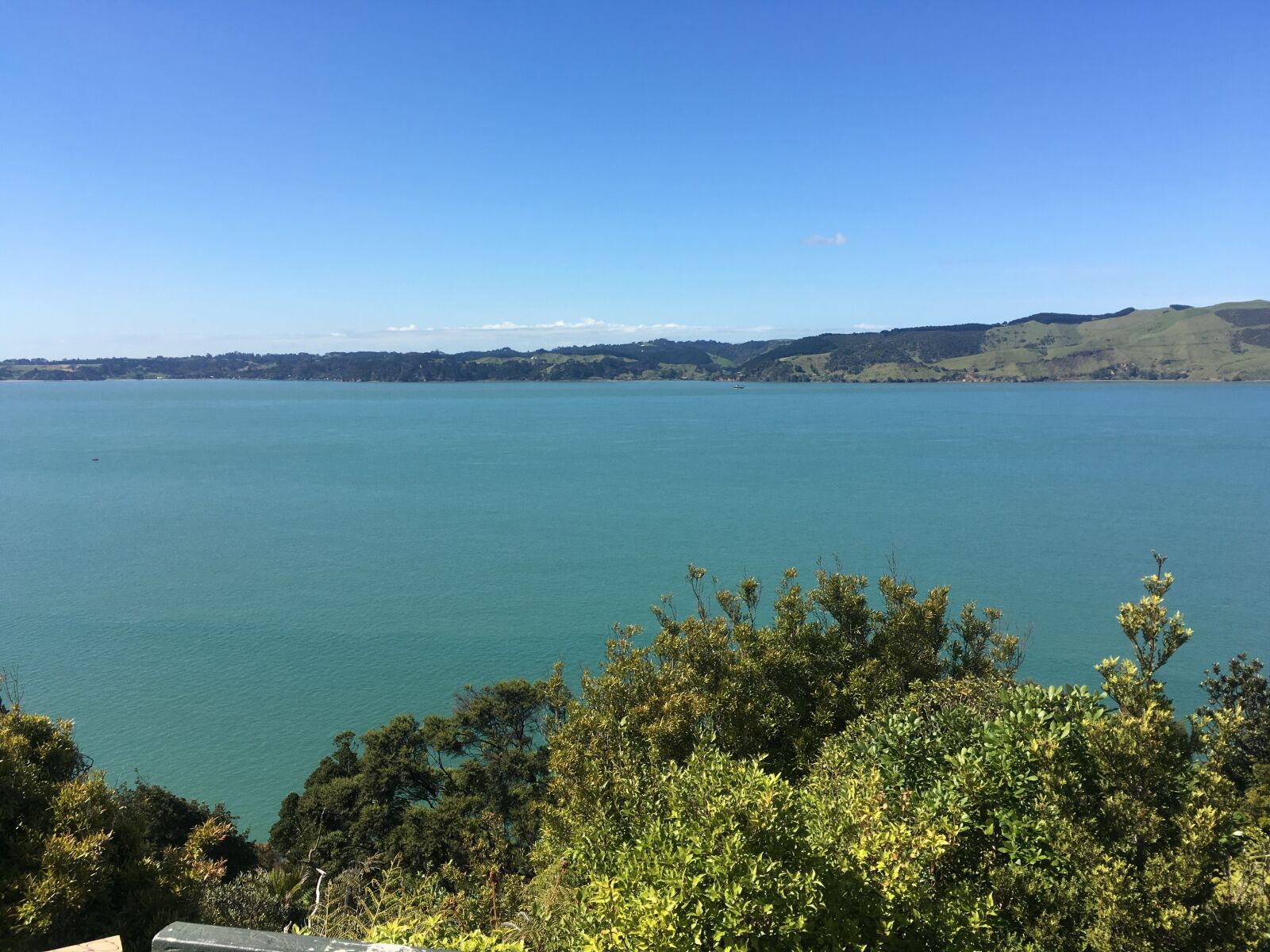 iPhone SE back camera 4.15mm f/2.2 sample photo. Whangarei, ocean, view photography
