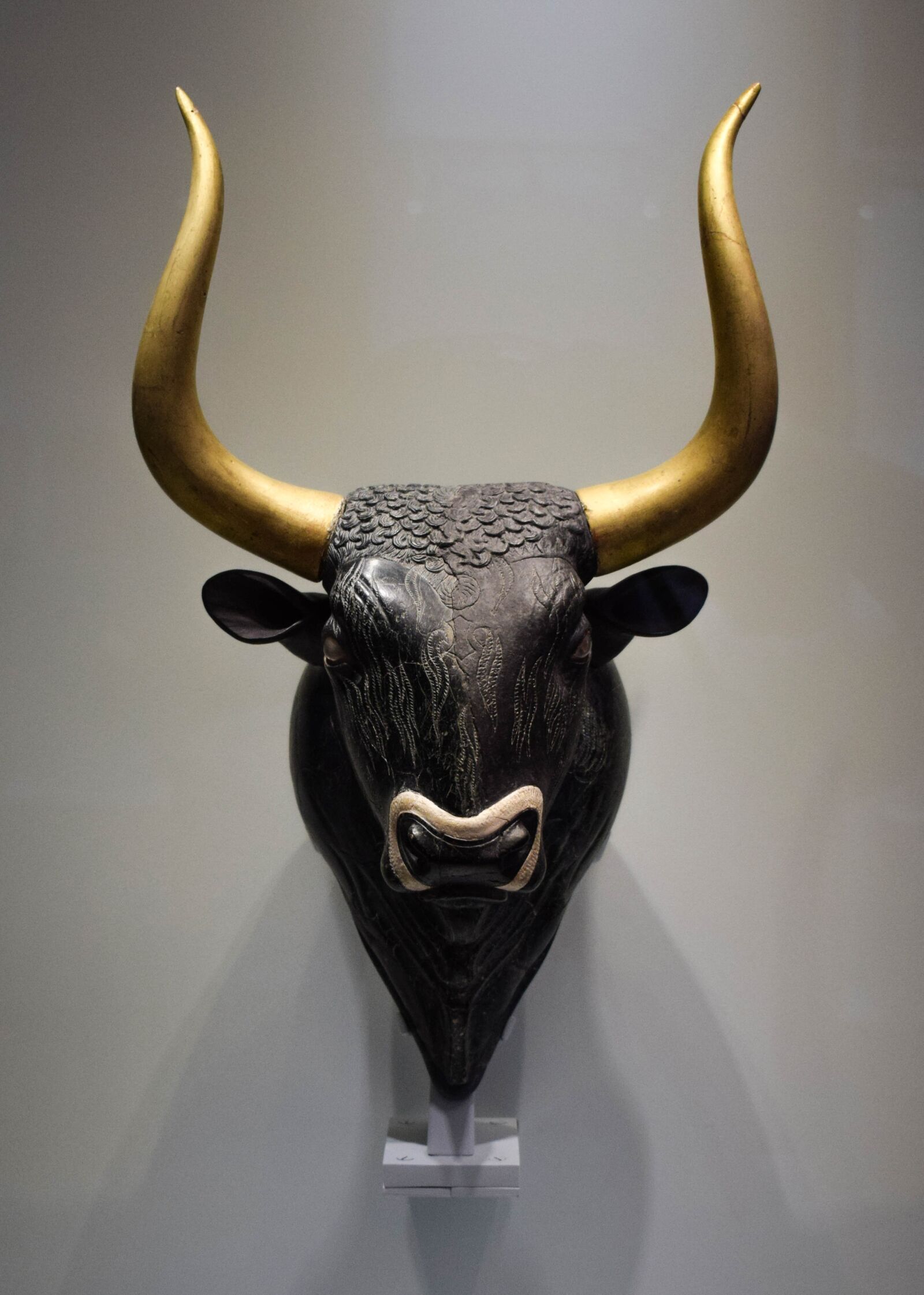 Nikon D3300 sample photo. Bull, head, horn photography
