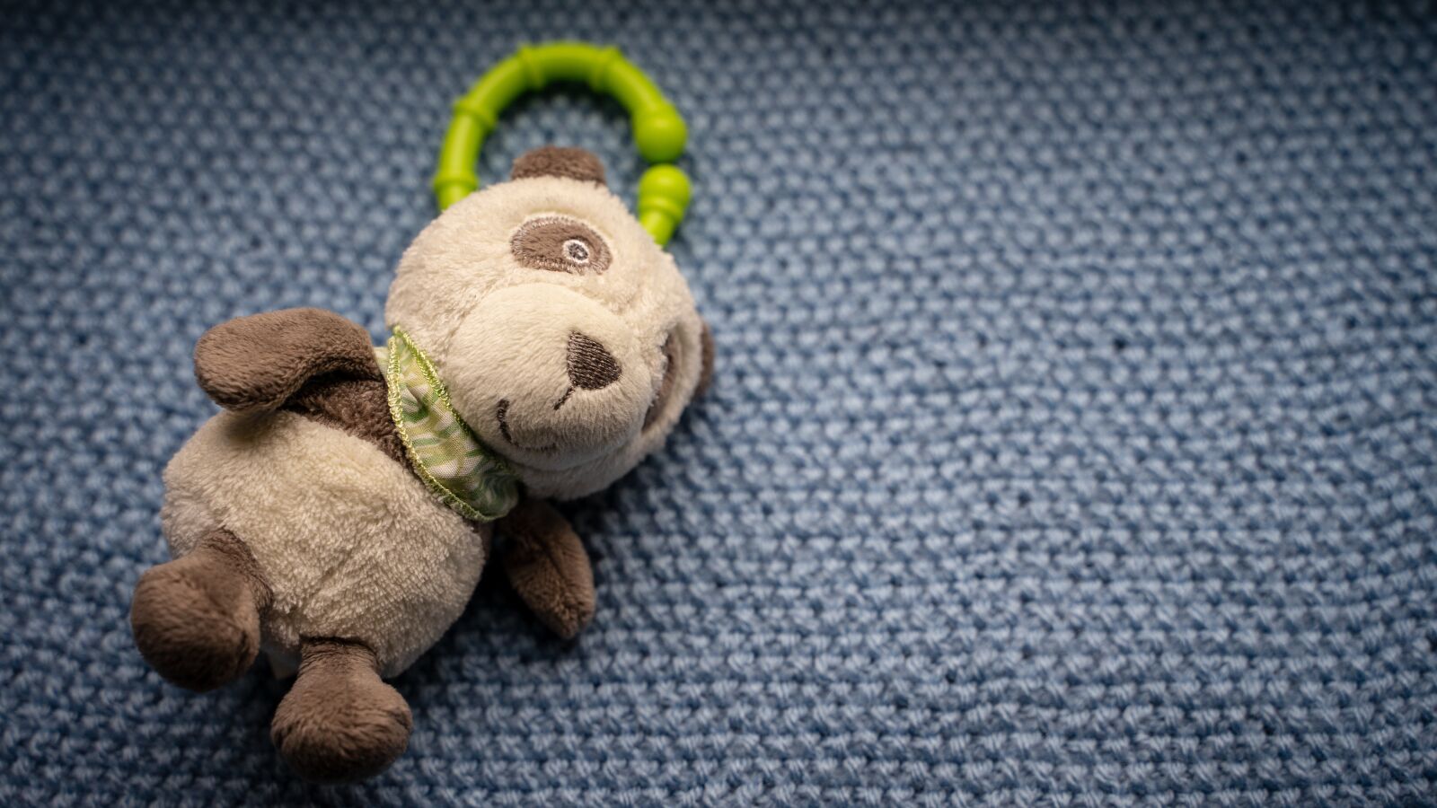 Tamron 28-75mm F2.8 Di III RXD sample photo. Teddy bear, soft, bear photography