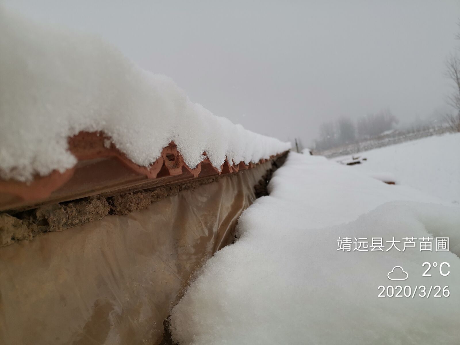 HUAWEI HLK-AL00 sample photo. Snow, rural snow scene photography