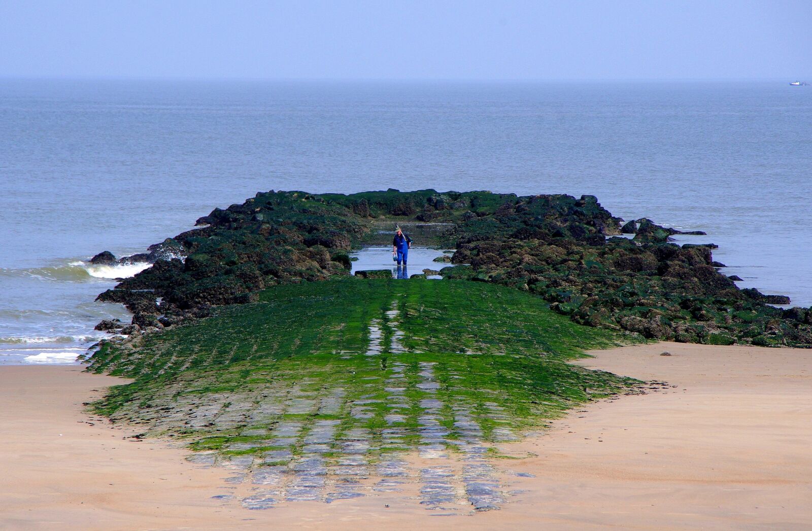 Pentax K-x sample photo. Angler, sea, belgium photography