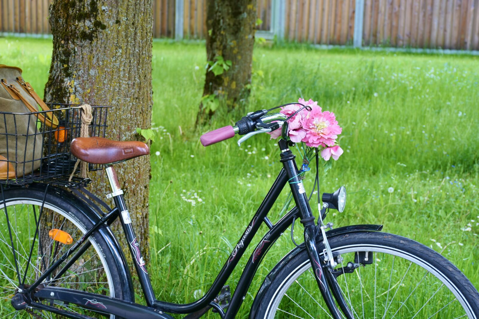 Nikon D7200 sample photo. Bike, wheel, cycle photography