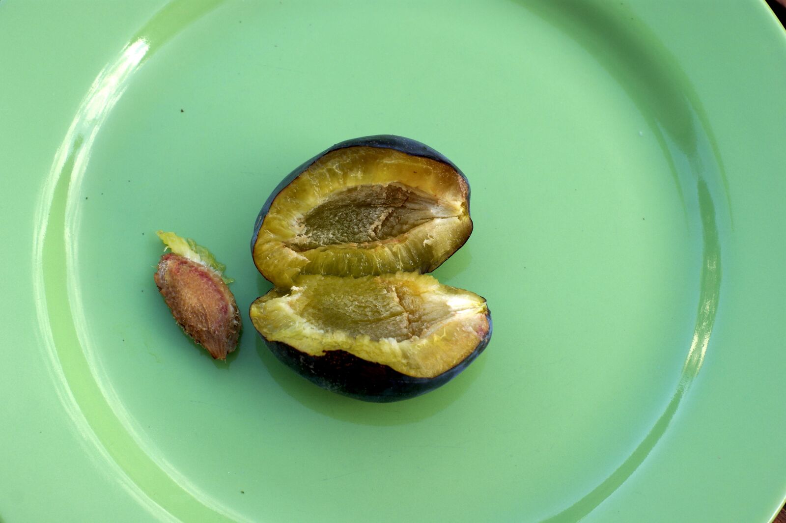 Sony Alpha DSLR-A290 sample photo. Plum, fresh, ripe fruit photography
