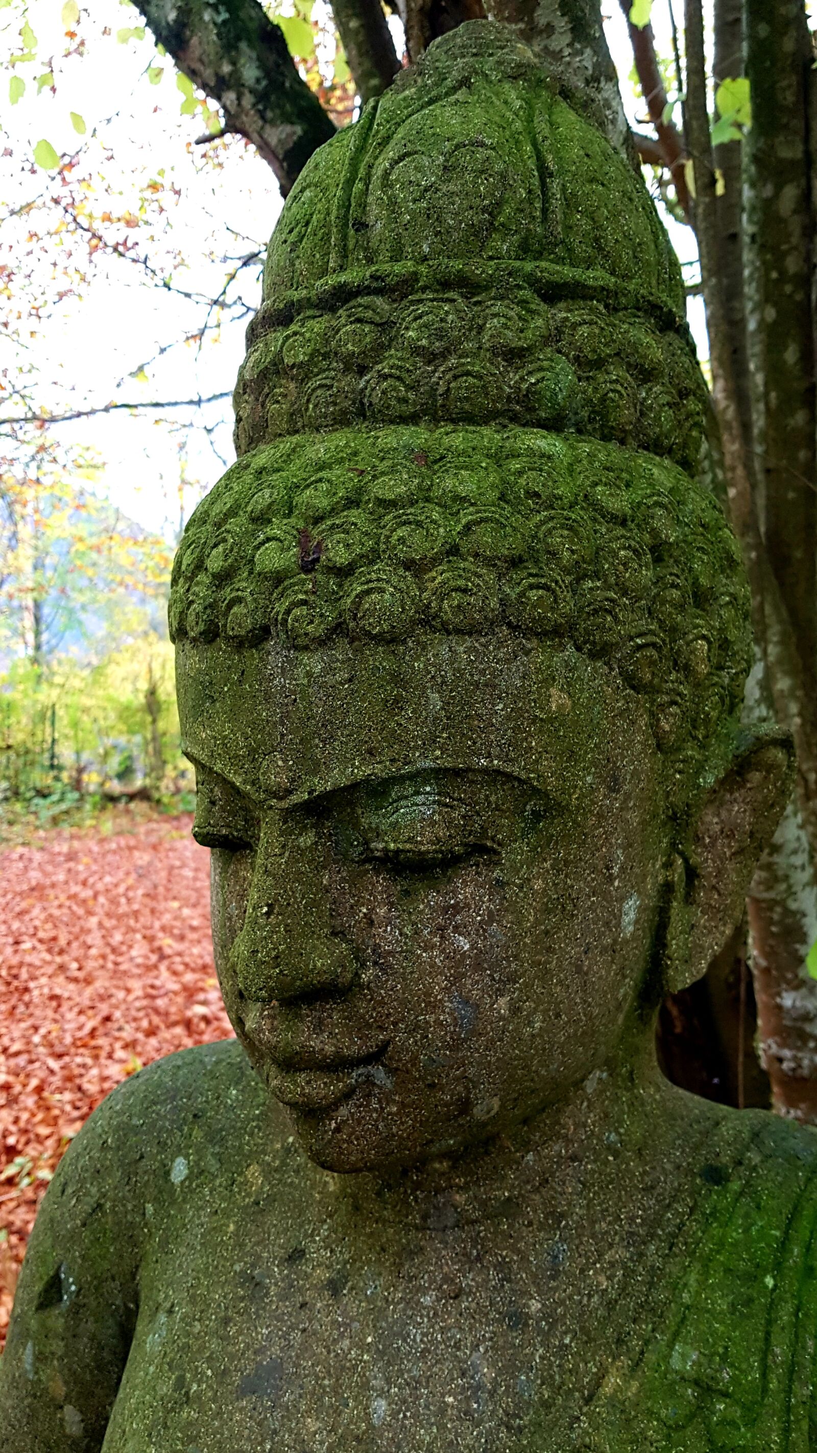 Samsung Galaxy S7 Edge sample photo. Art, asia, buddha photography