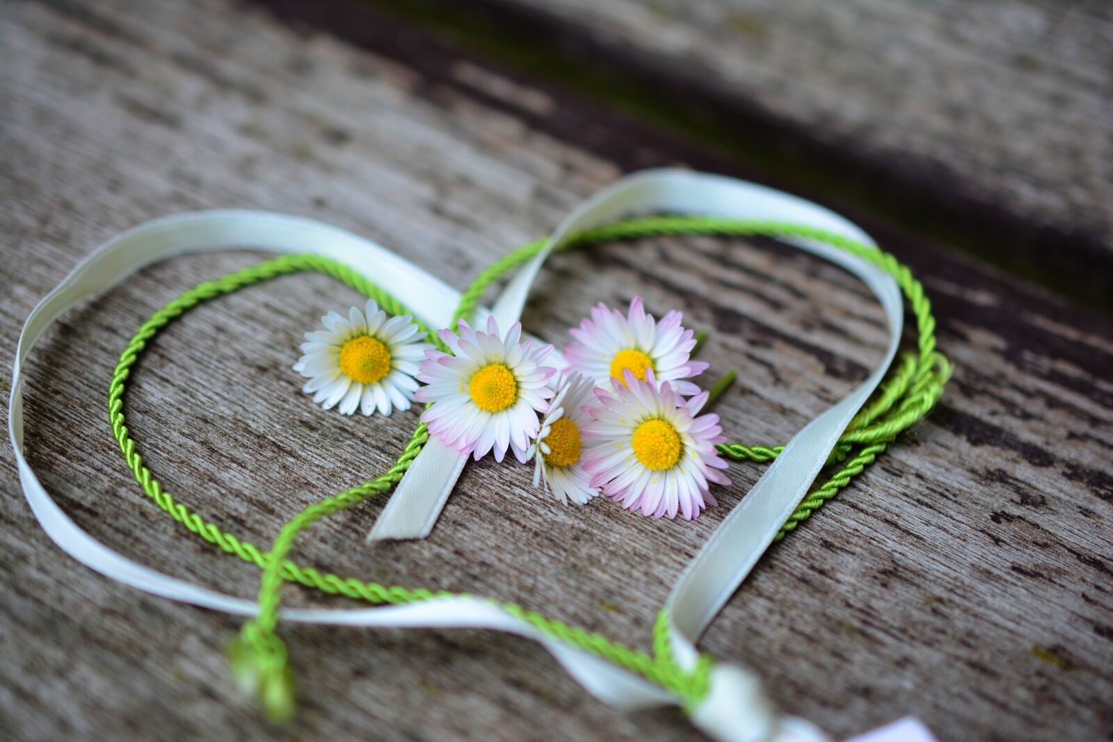 Nikon D5200 sample photo. Daisy, heart, romance photography