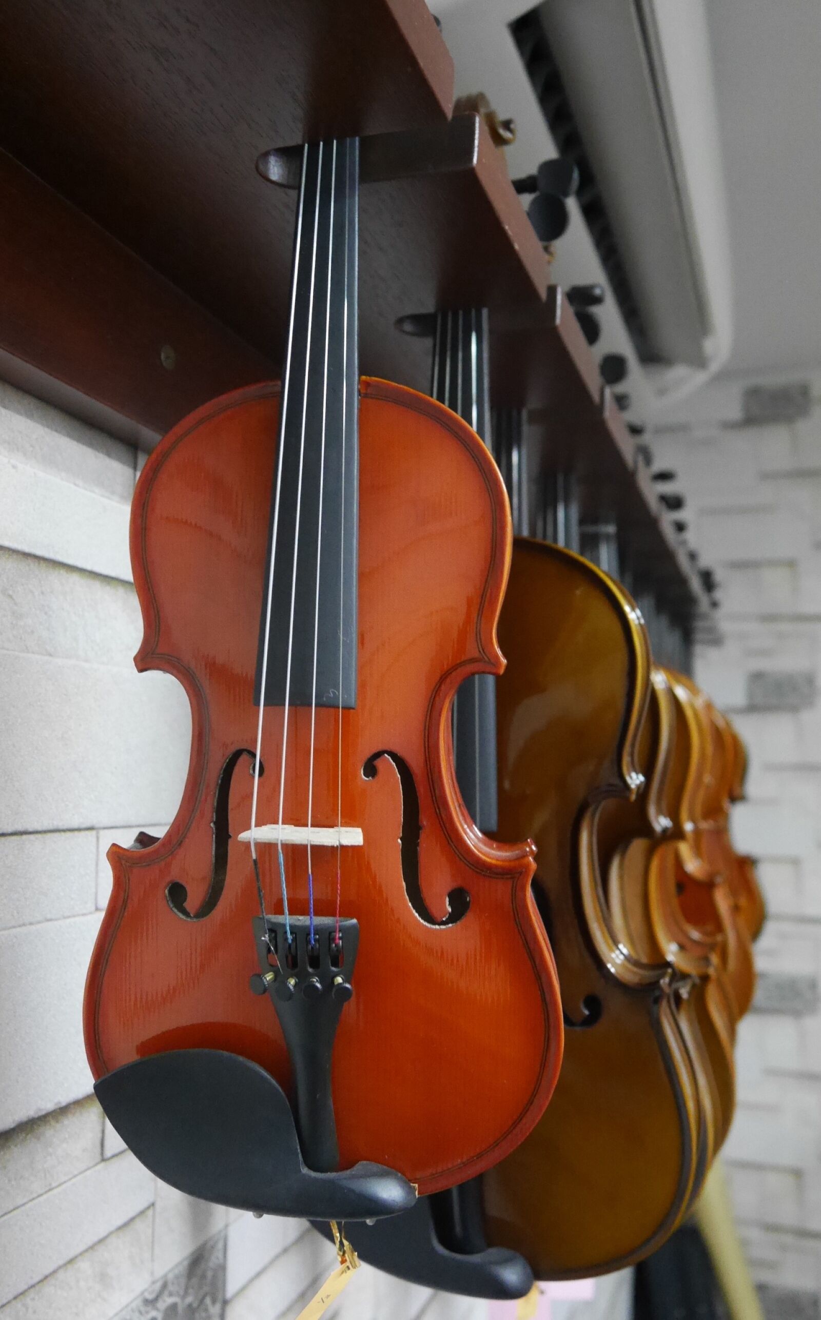 Panasonic Lumix DMC-GM1 sample photo. Violin, music instrument, music photography