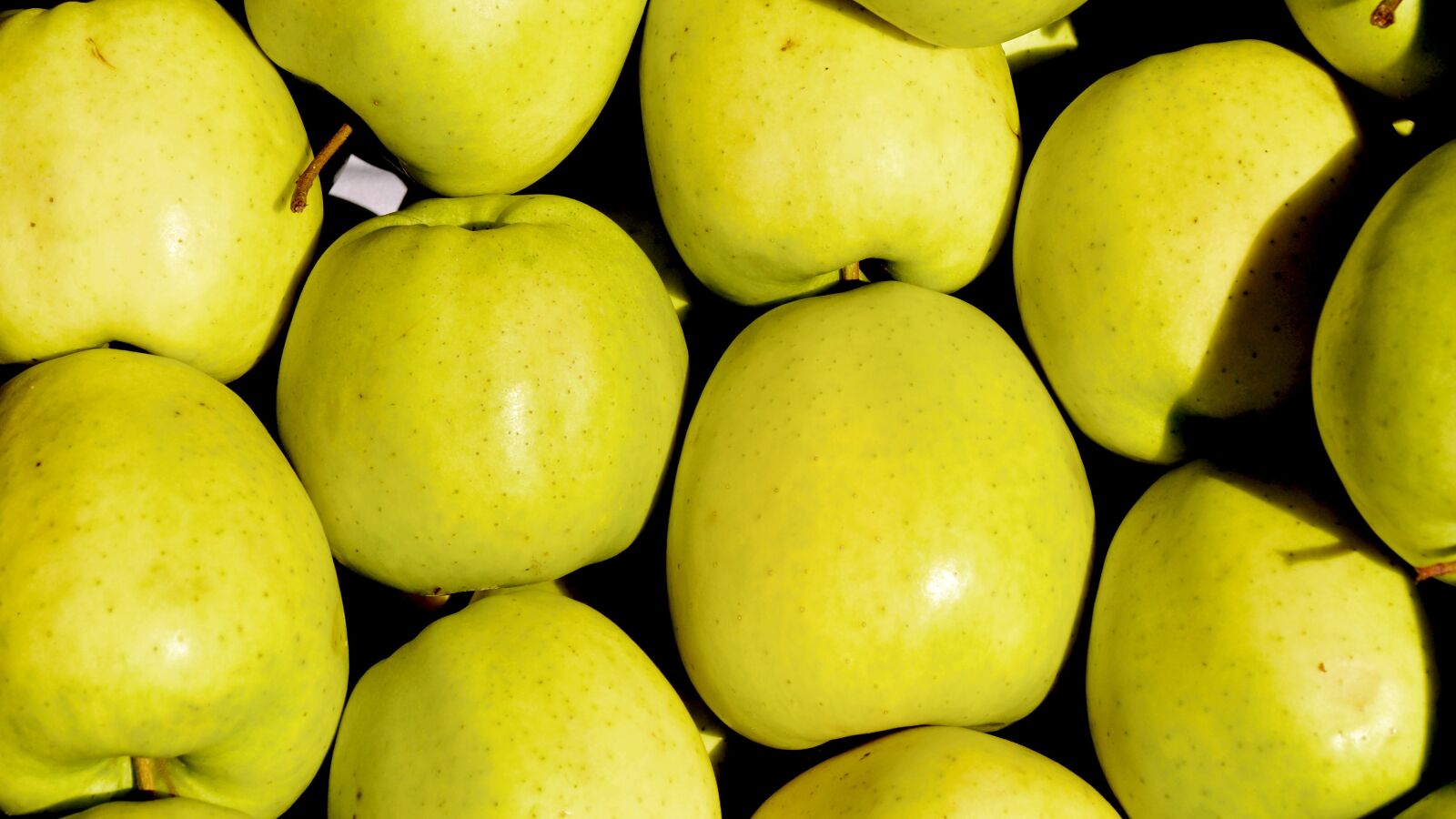 Nikon D90 sample photo. Fruit, green, green apple photography