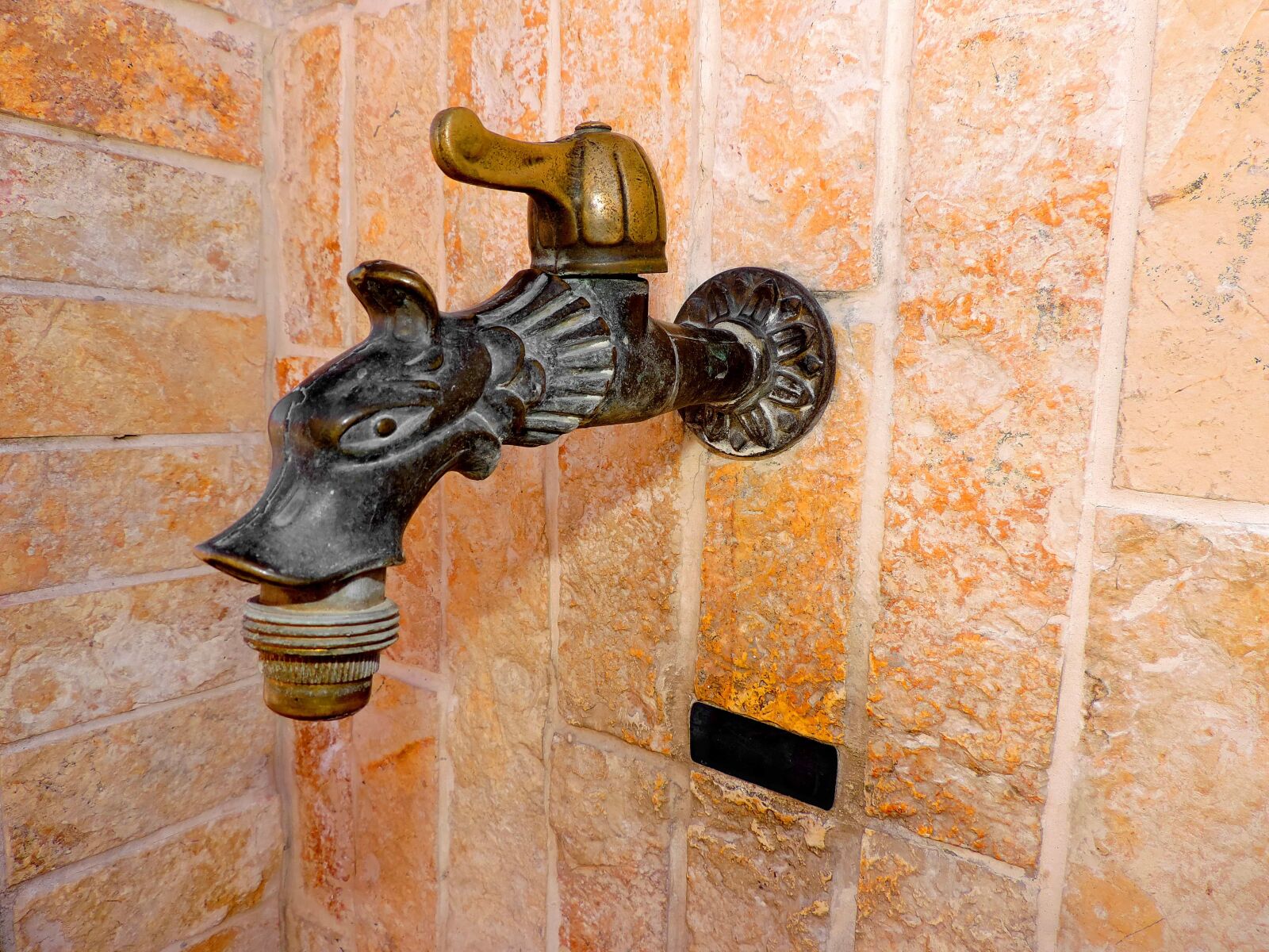 Nikon Coolpix P520 sample photo. Brass, cast iron, decoration photography
