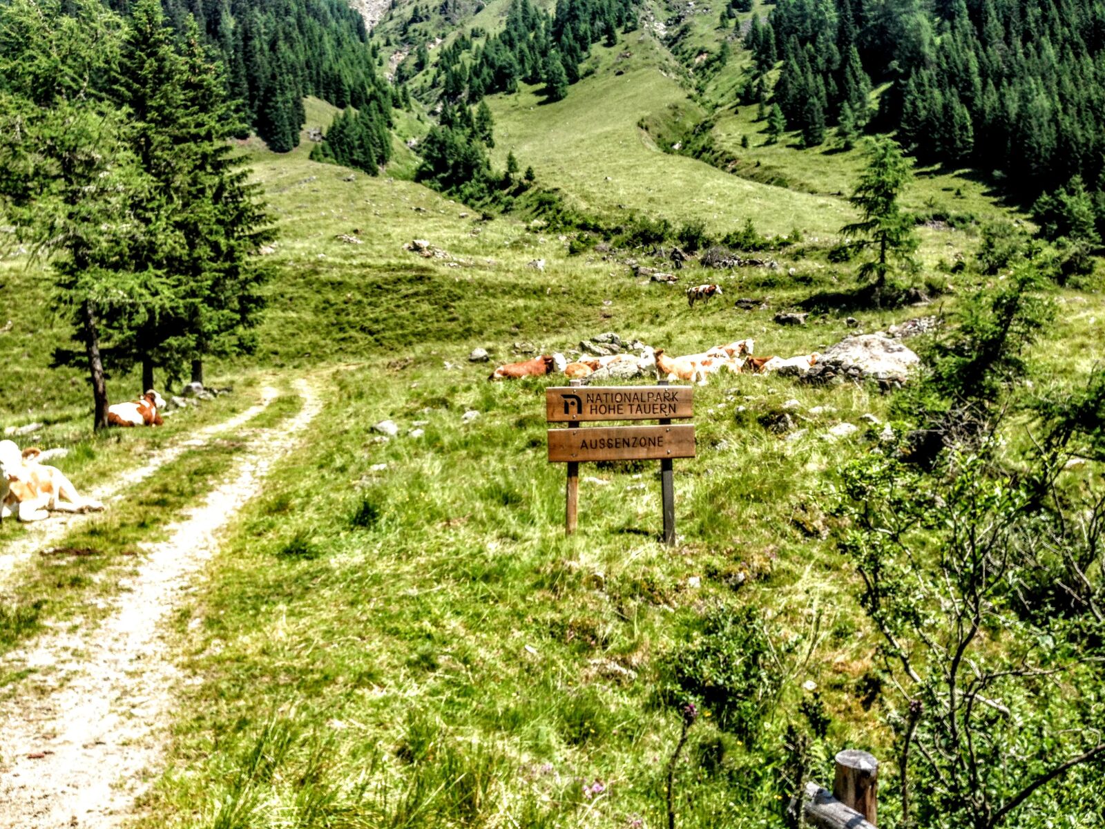 iPhone 5 back camera 4.12mm f/2.4 sample photo. East tyrol, debanttal, tyrol photography
