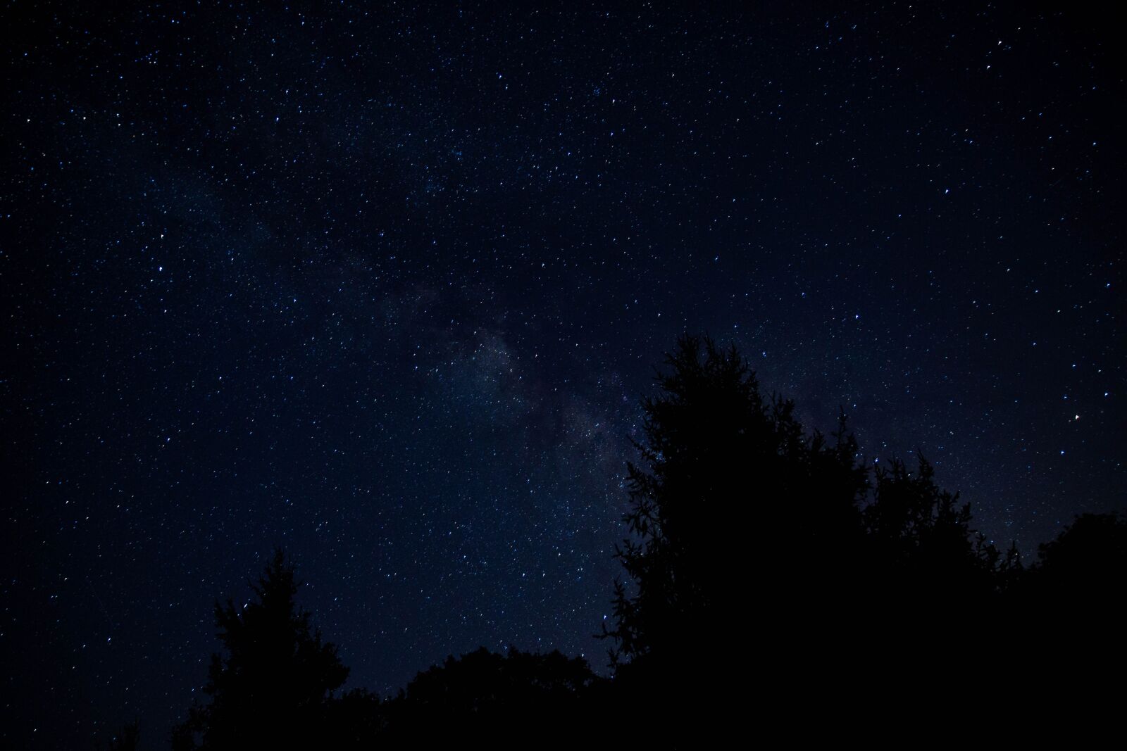 Canon EF 24-70mm F2.8L II USM sample photo. Milky way, night sky photography