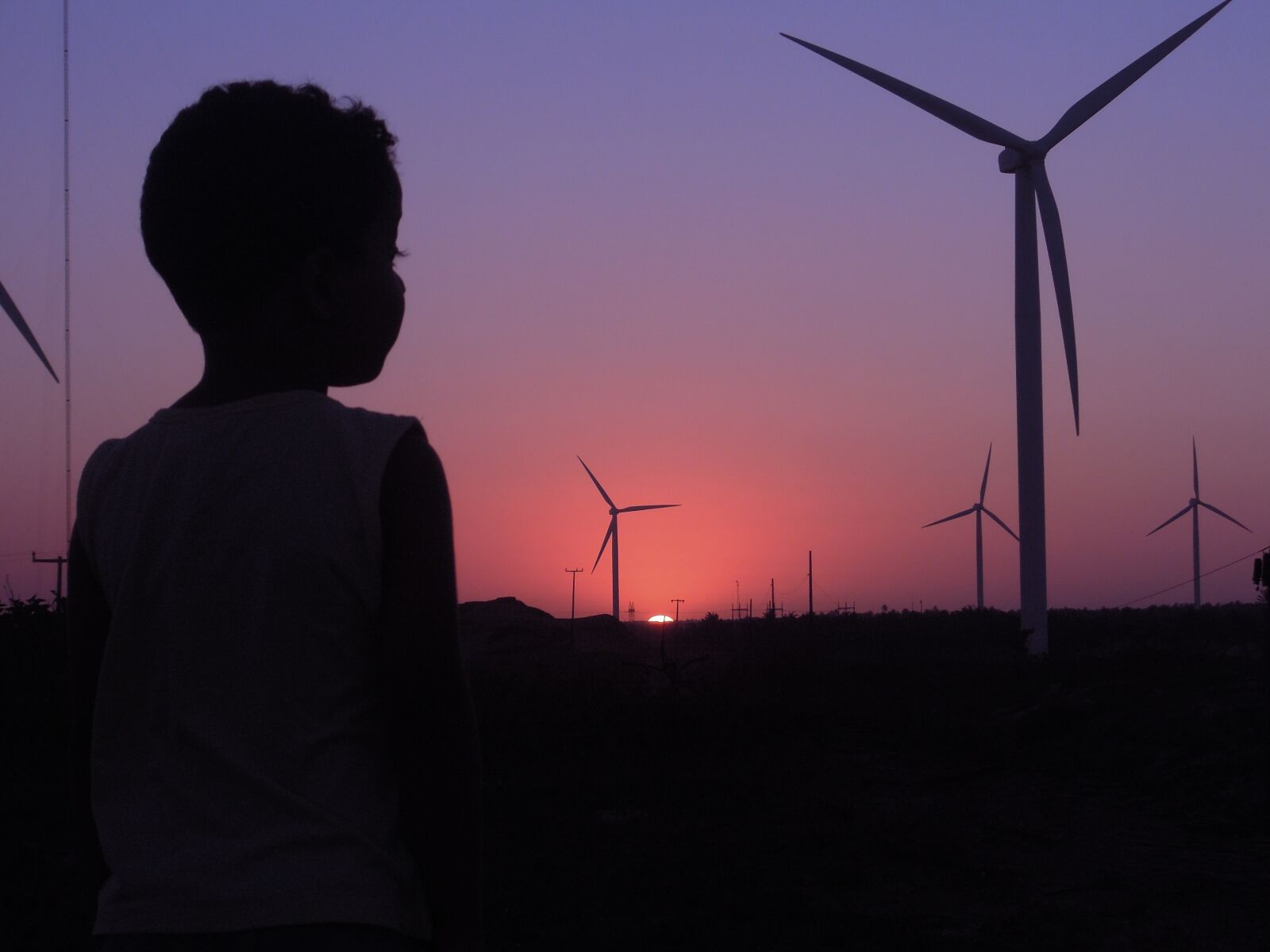 Nikon Coolpix P300 sample photo. Boy, wind, elices photography