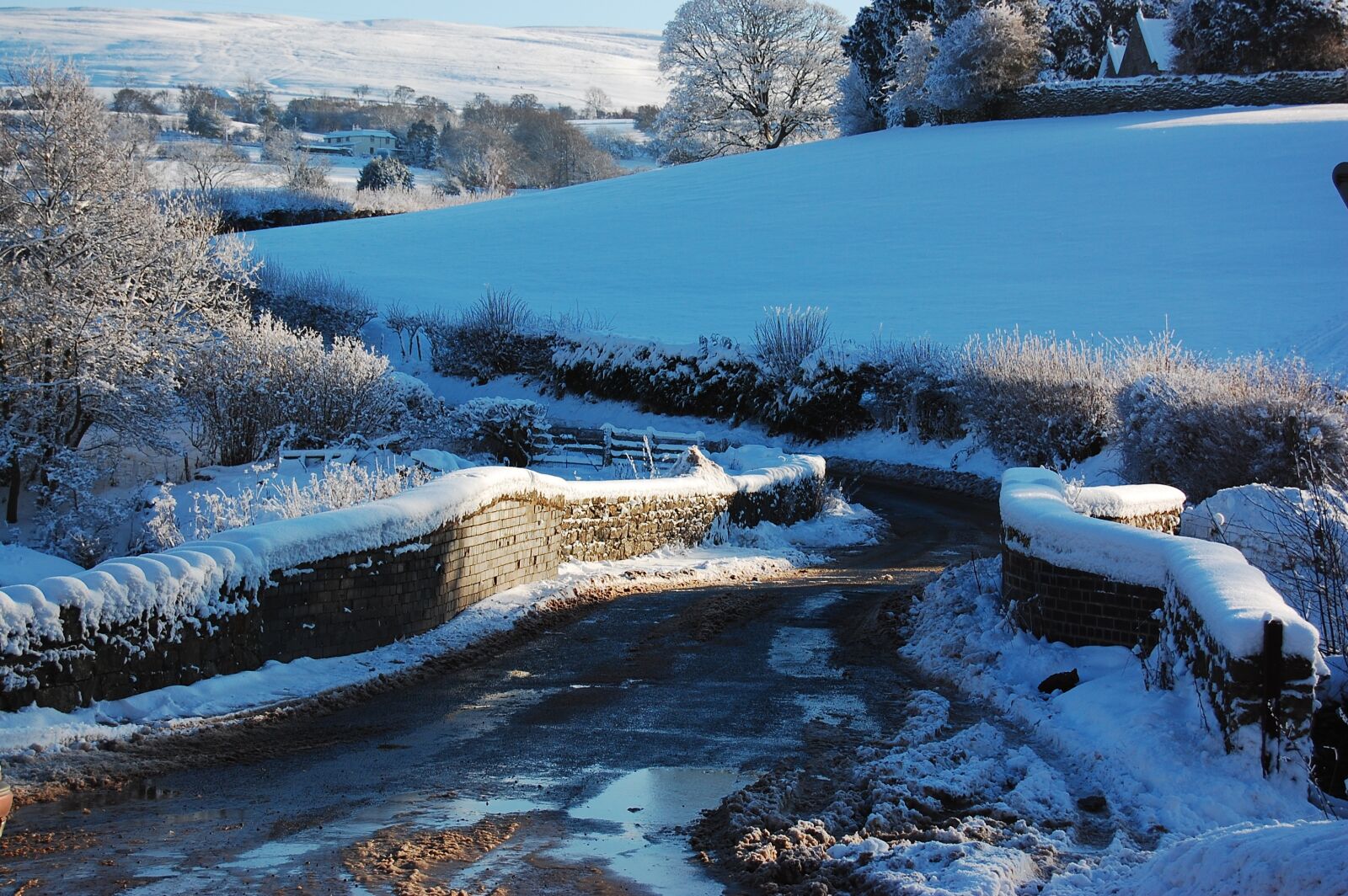 Nikon D40 sample photo. Snow, landscape, cold photography