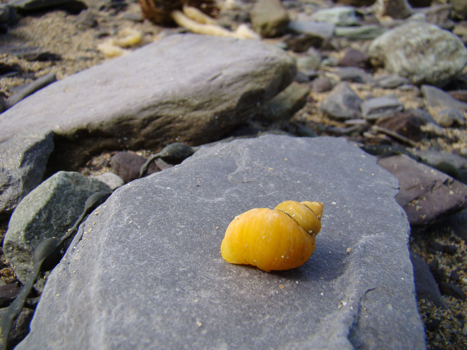 Sony Cyber-shot DSC-H50 sample photo. Beach, ireland, rock, sand photography