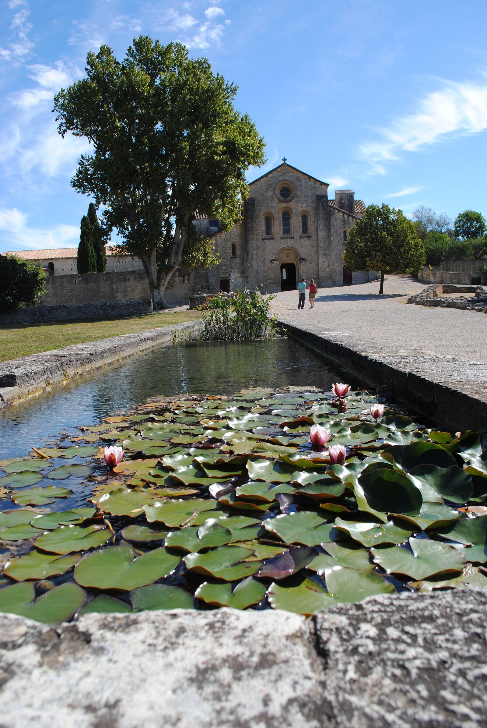 Nikon D3000 sample photo. Monastery, abbey, silvacane photography