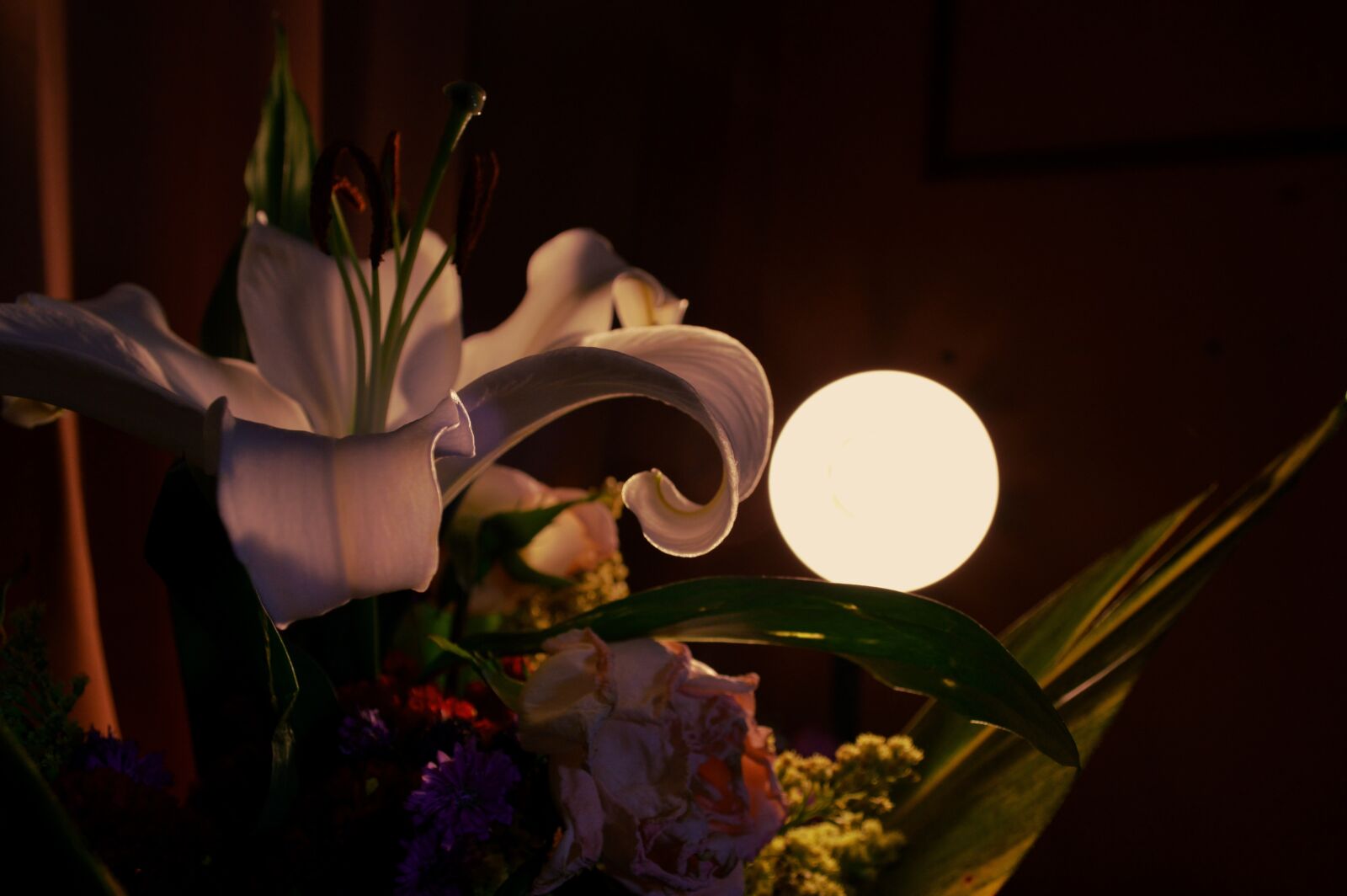 Nikon D3200 sample photo. Flowers, night, lilies photography