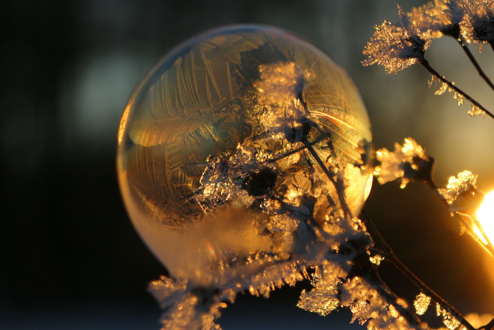 Canon EOS 100D (EOS Rebel SL1 / EOS Kiss X7) sample photo. Soap bubble, ball, frost photography