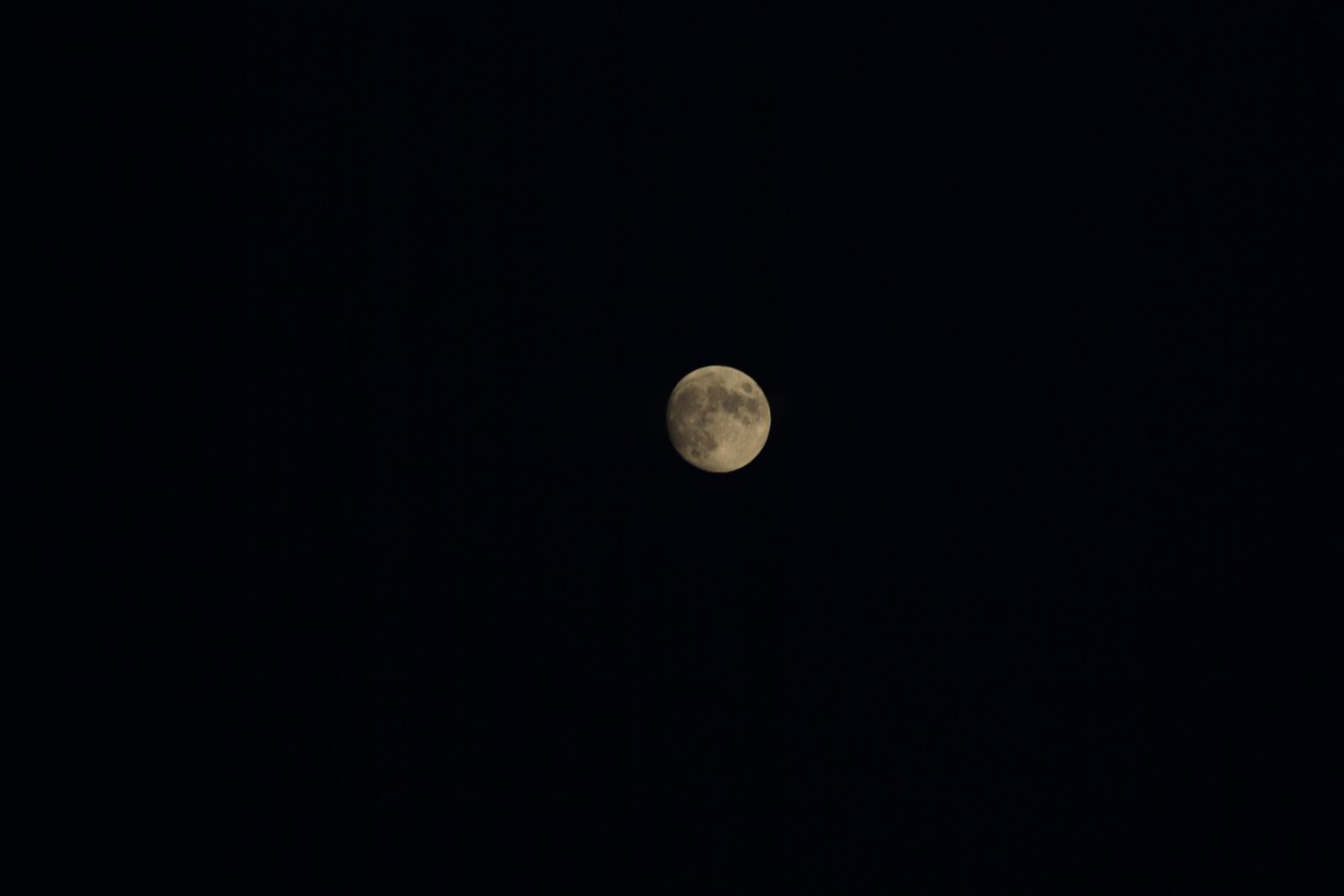 Canon EOS 1000D (EOS Digital Rebel XS / EOS Kiss F) sample photo. Moon, night, yellow photography