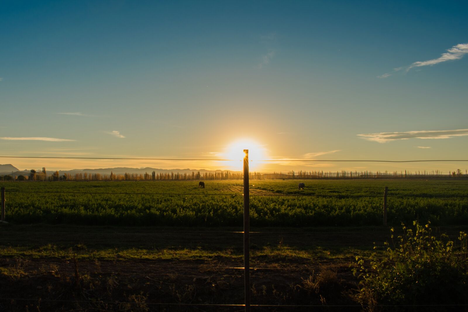 Nikon D3400 sample photo. Sunset, sun, wiring photography