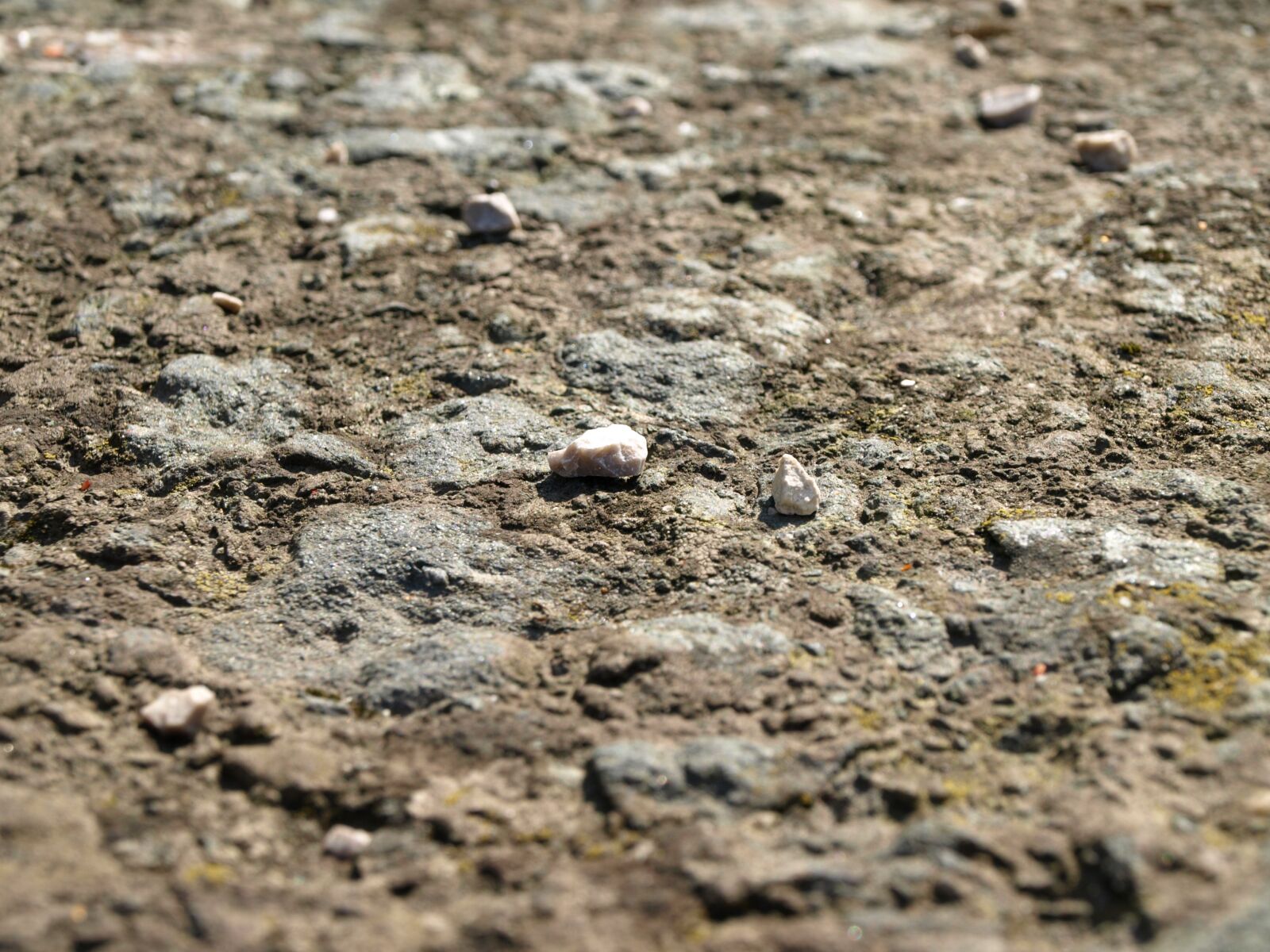 Olympus E-510 (EVOLT E-510) sample photo. Stone, pebble, kick-off photography