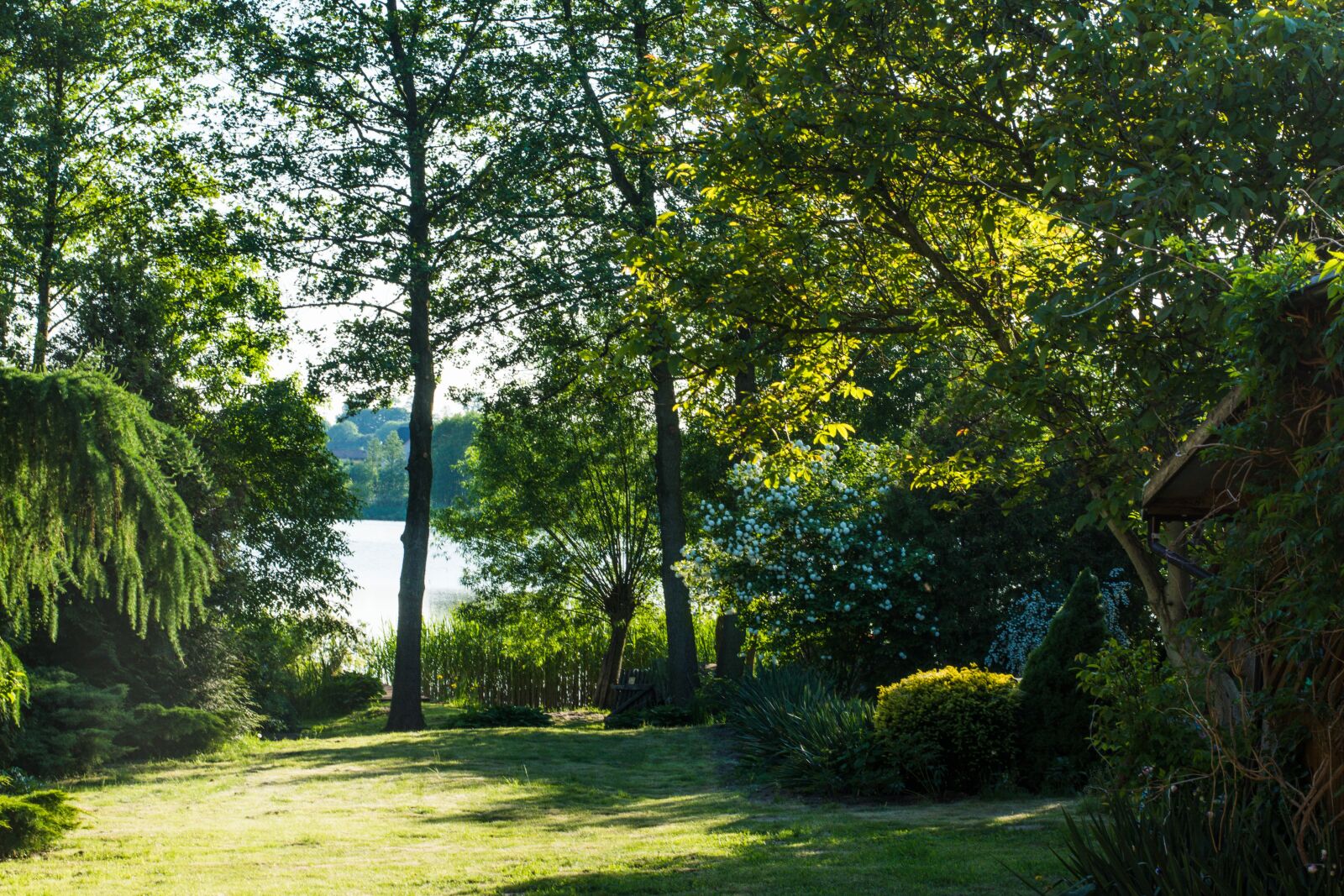Nikon D5200 sample photo. Lake, view, landscape photography