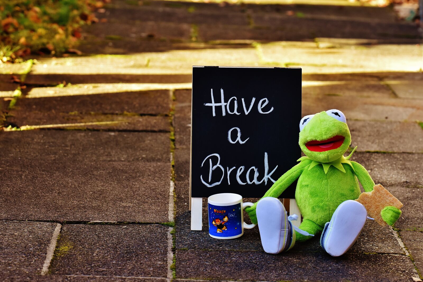 Nikon D7200 sample photo. Kermit, cup, drink coffee photography