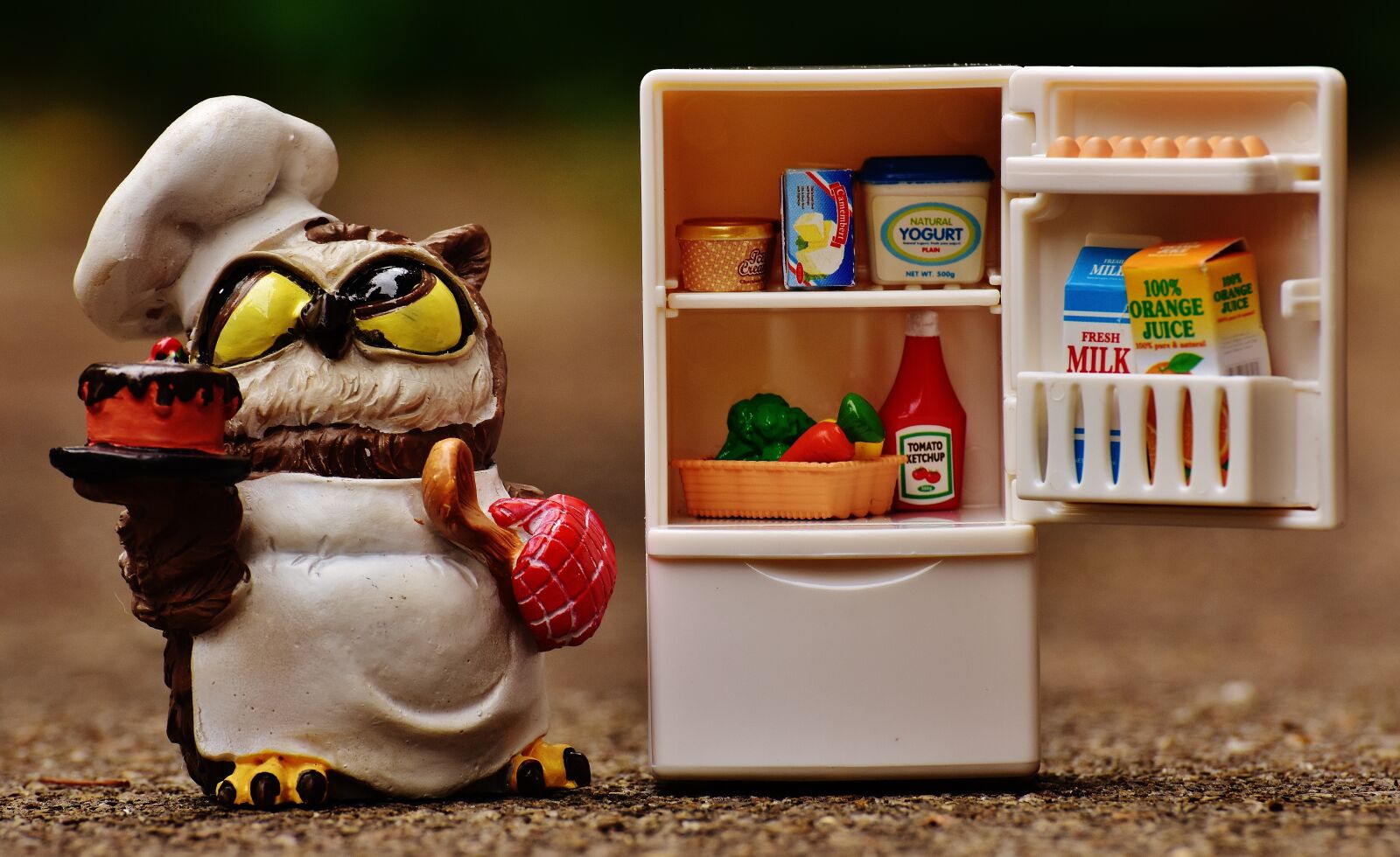 Nikon D7200 sample photo. Owl, bake, cook photography