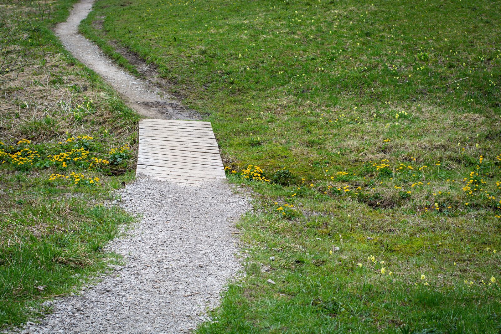 Nikon D7100 sample photo. Away, trail, bridge photography