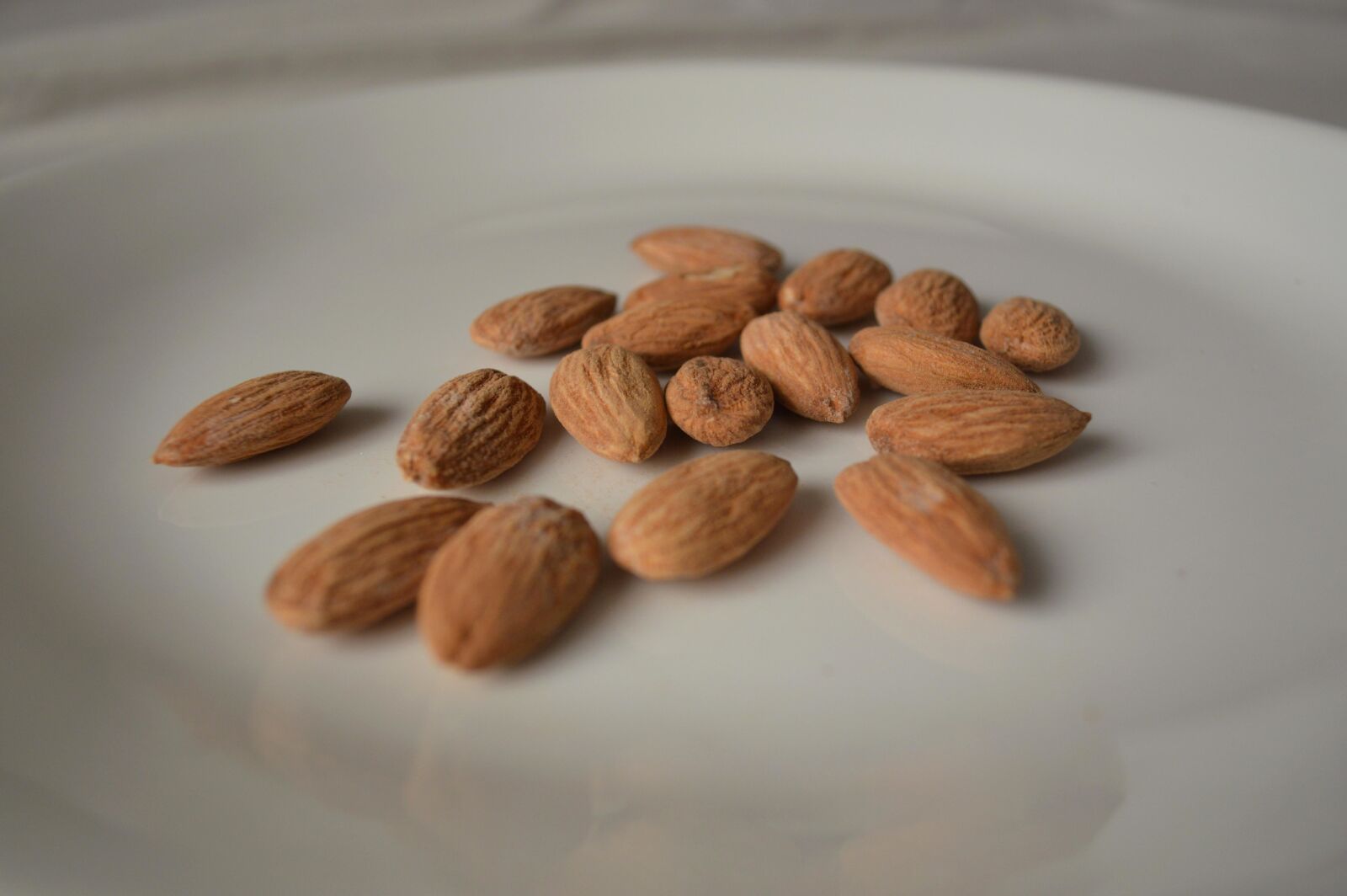 Nikon D3200 sample photo. Almond, seed, diet, food photography