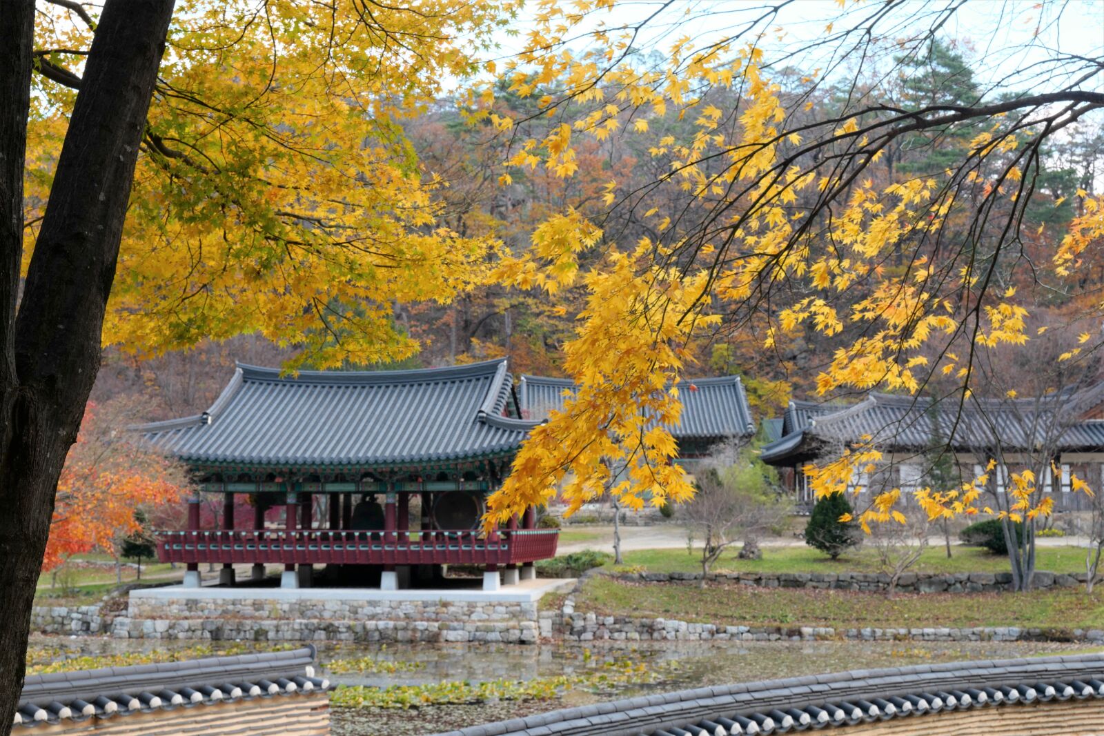 Leica SL (Typ 601) sample photo. Korea, temple, autumn photography