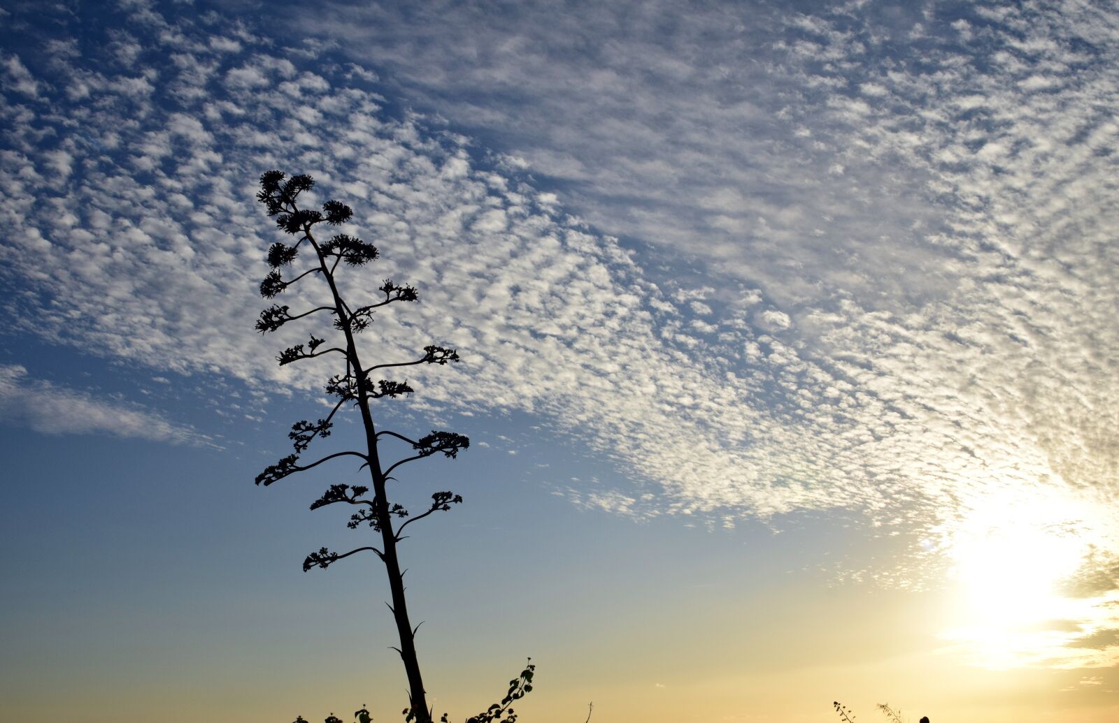Nikon D3300 sample photo. Sky, sunset, abendstimmung photography