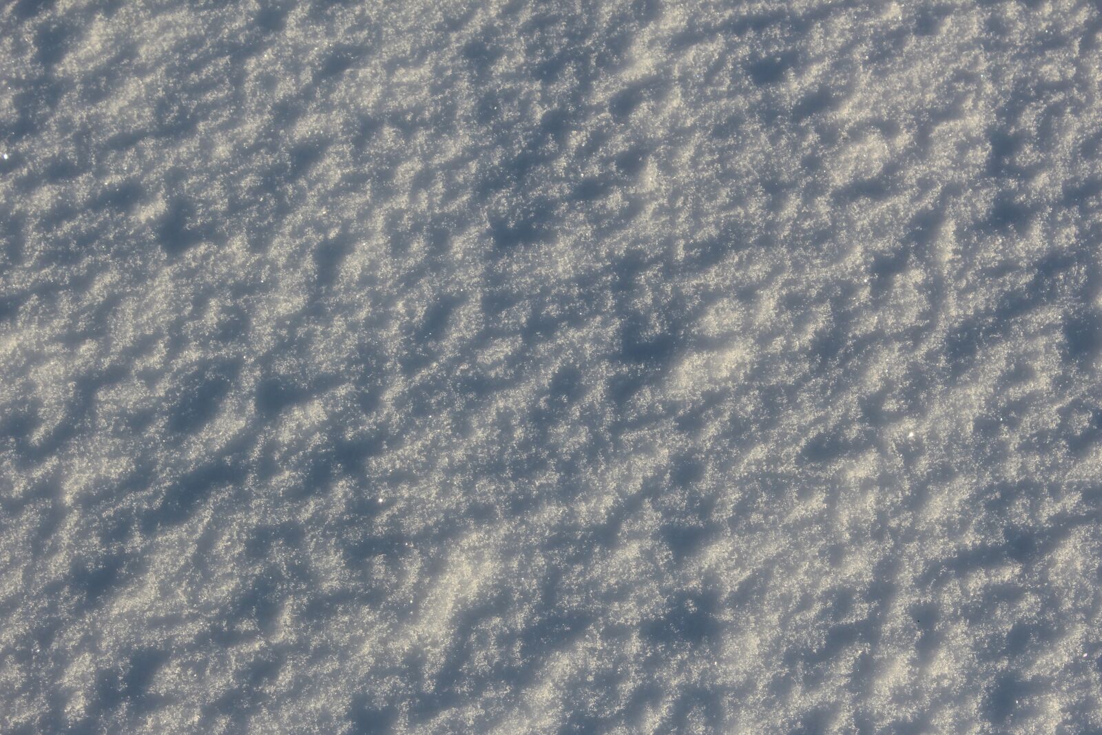 Canon EOS 1200D (EOS Rebel T5 / EOS Kiss X70 / EOS Hi) sample photo. Snow, cold, white photography