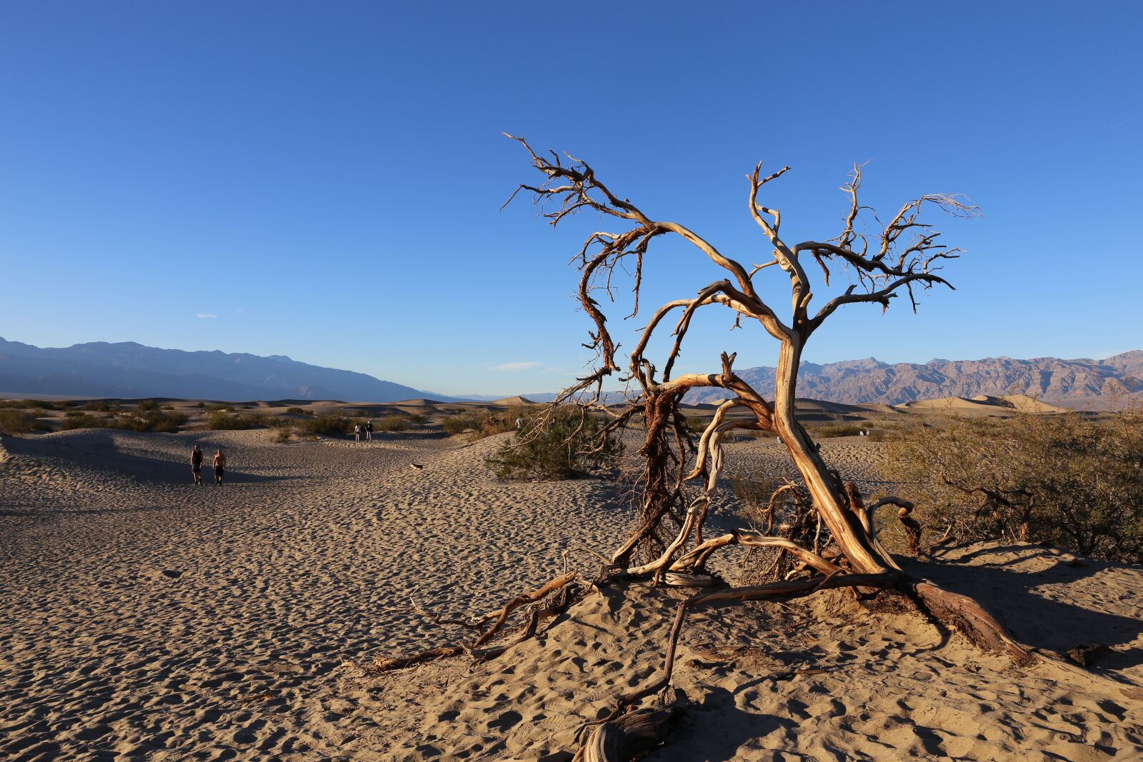 Canon EF 24-70mm F2.8L II USM sample photo. Death valley, national park photography