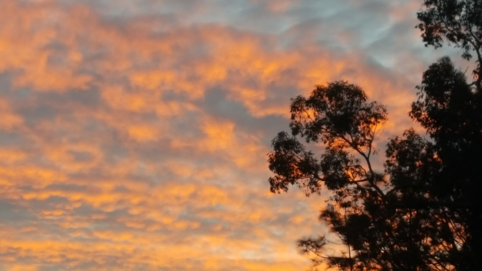 Samsung Galaxy S6 sample photo. Sky, cloud, sunset photography