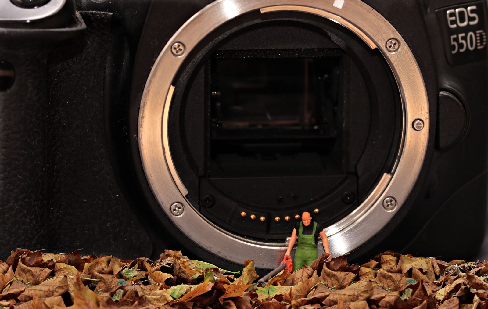 Canon EOS 80D sample photo. Frühjahrsputz, cleaning, camera photography