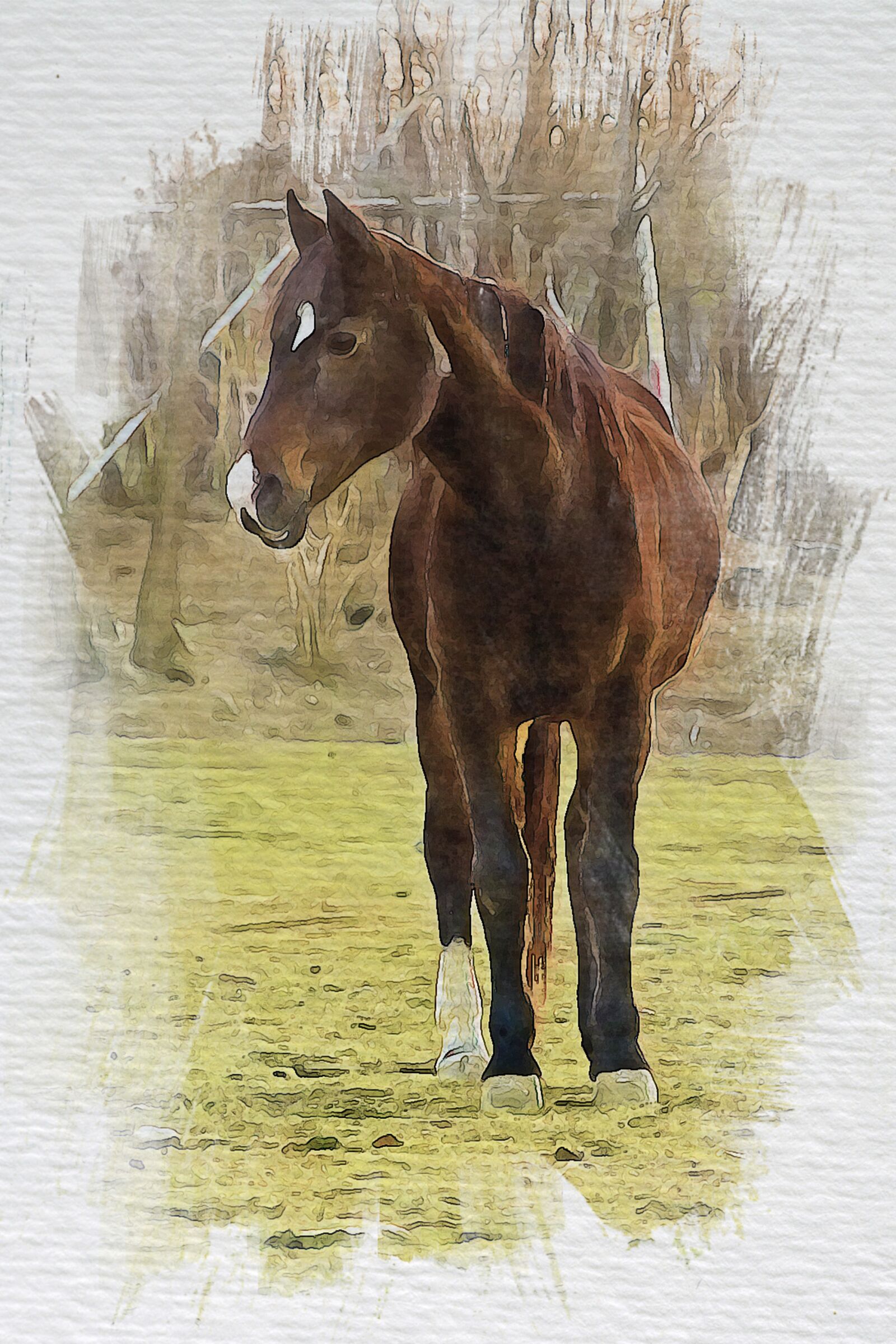 Pentax K10D sample photo. Horse, brown, animals photography