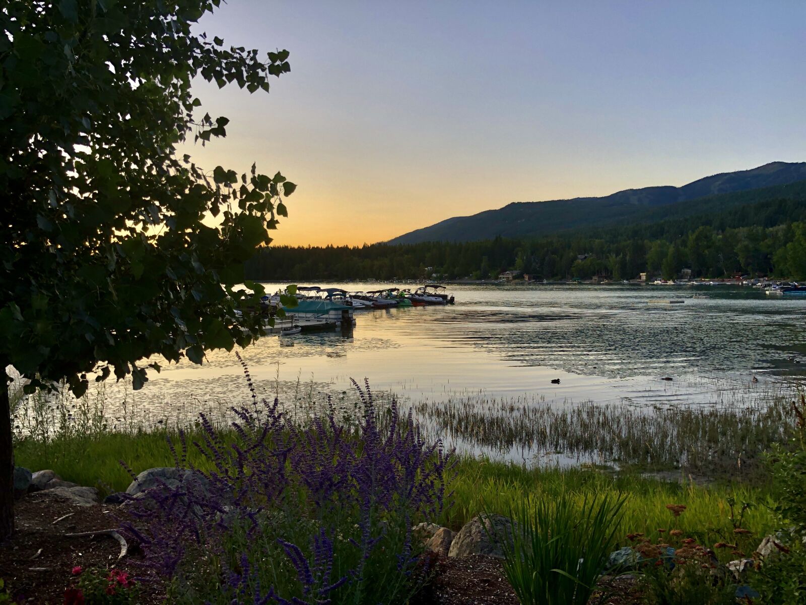 iPhone X back dual camera 4mm f/1.8 sample photo. Lake, sunset, nature photography
