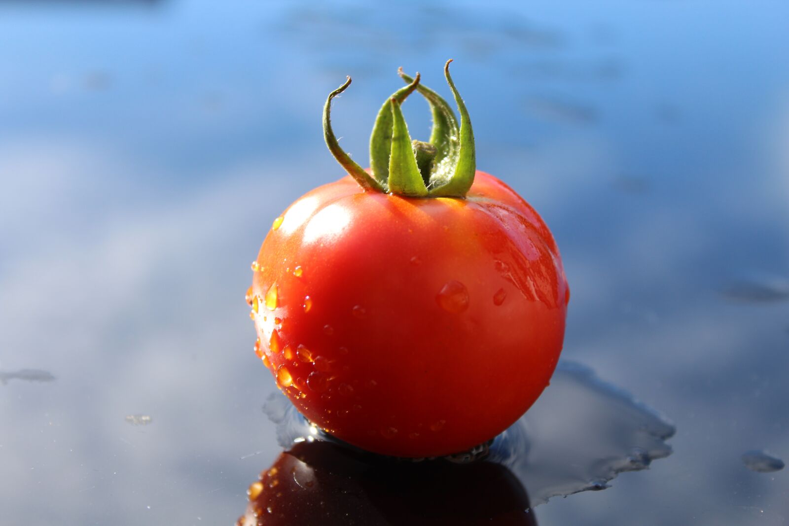 Canon EOS 1200D (EOS Rebel T5 / EOS Kiss X70 / EOS Hi) sample photo. Tomato, ripe, vegetables photography