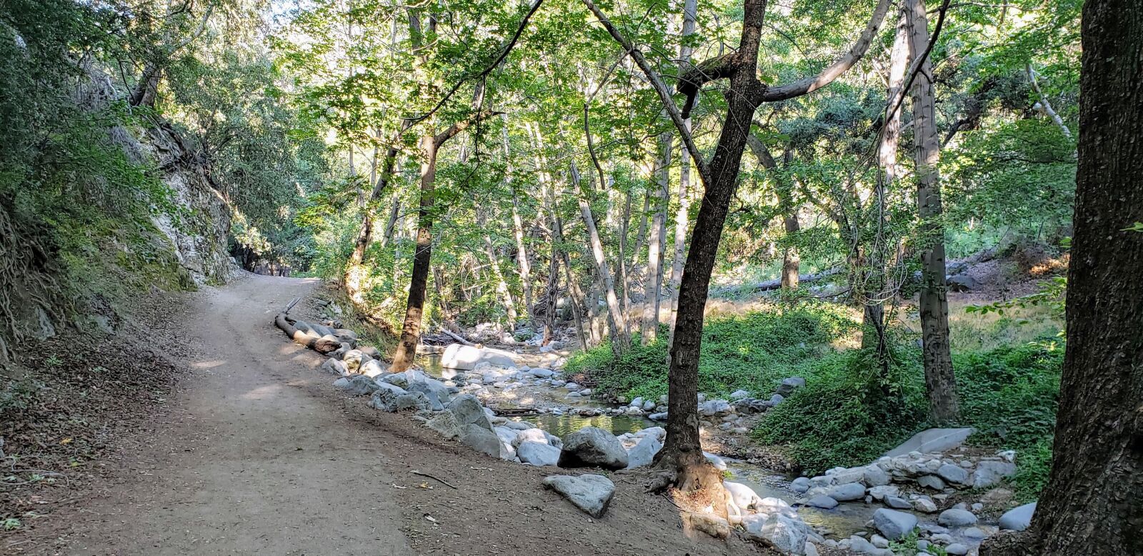 Samsung Galaxy Note9 sample photo. Trail, forest, nature photography
