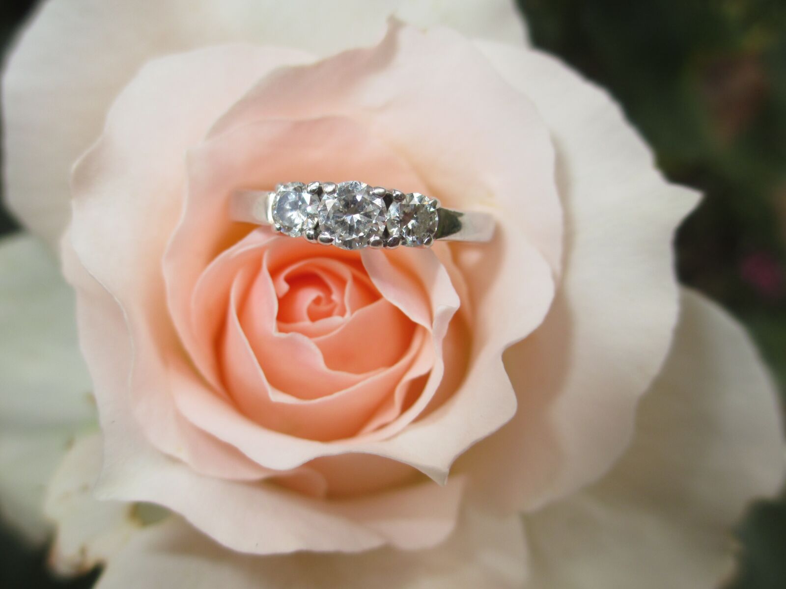 Canon POWERSHOT A4050 IS sample photo. Ring, engagement ring, love photography
