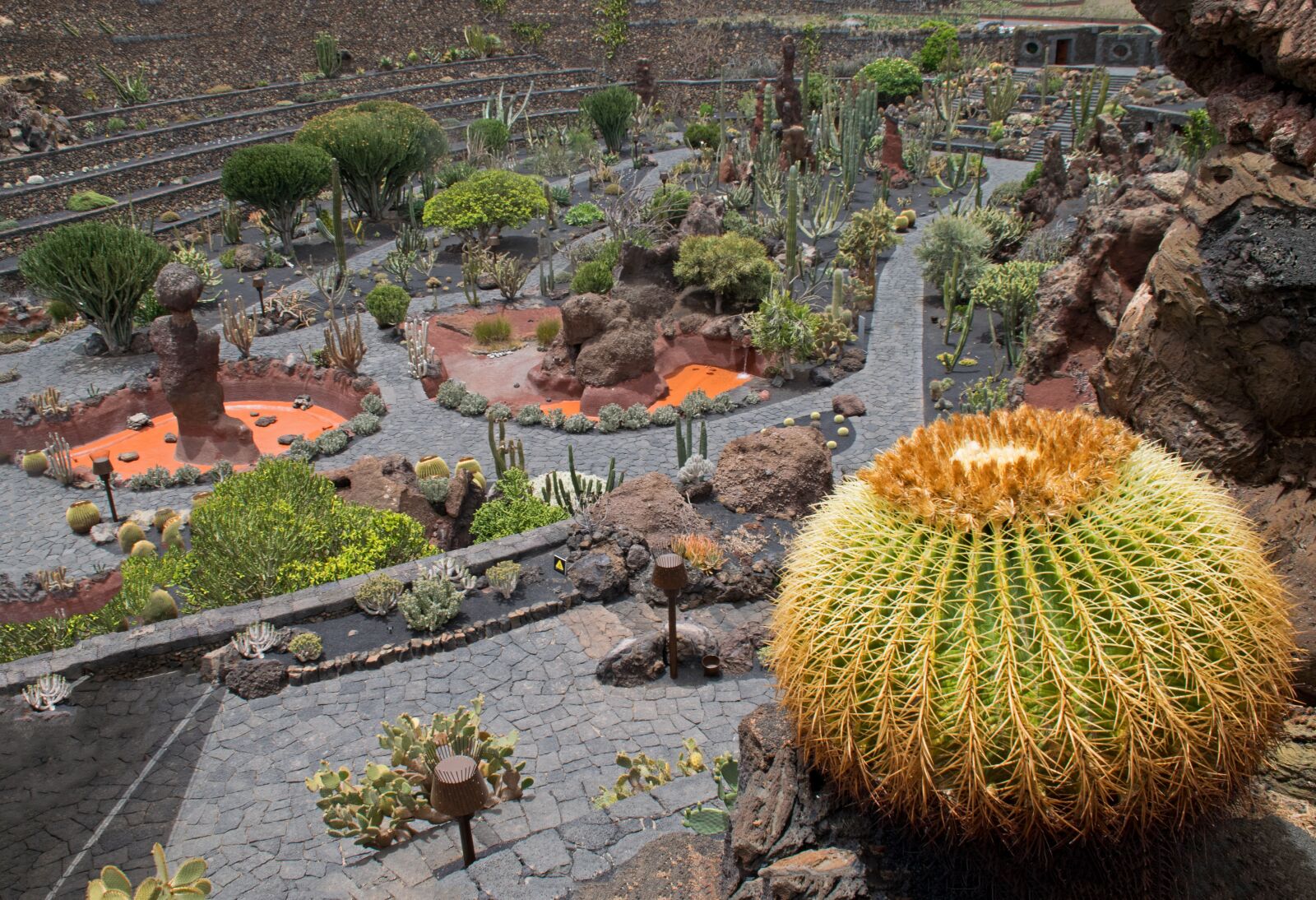 Nikon D5300 sample photo. Jardin de cactus, cactus photography