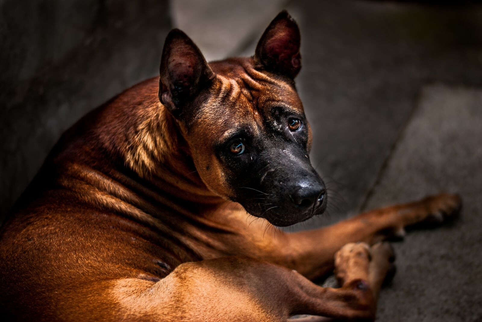 Nikon D3000 sample photo. Look at changing scared photography