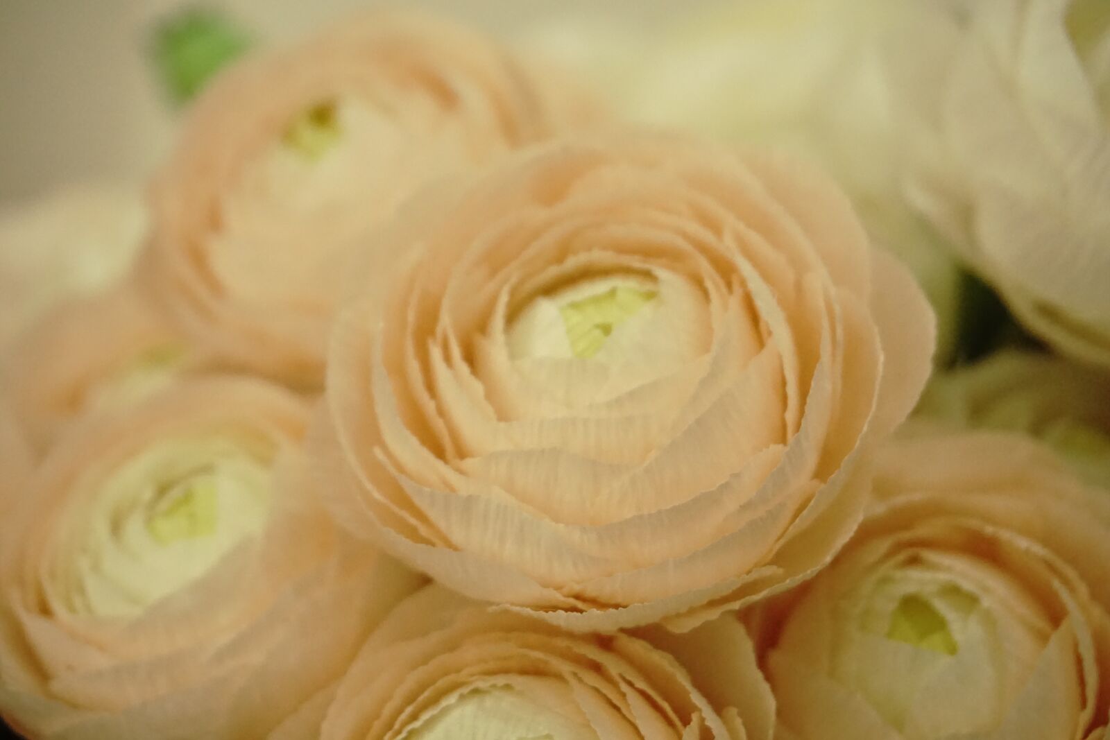 Sony E 16-50mm F3.5-5.6 PZ OSS sample photo. Paper flowers, crepe paper photography