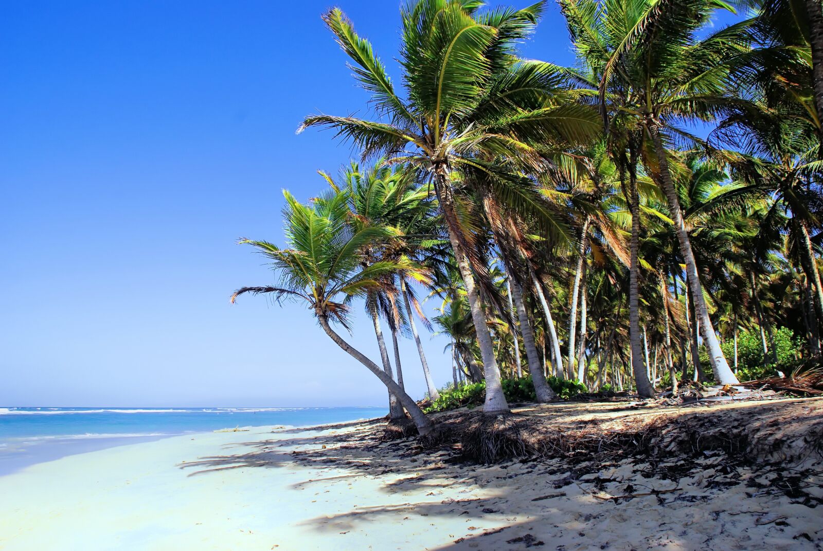 Pentax K200D sample photo. Dominican republic, punta-cana, shore photography