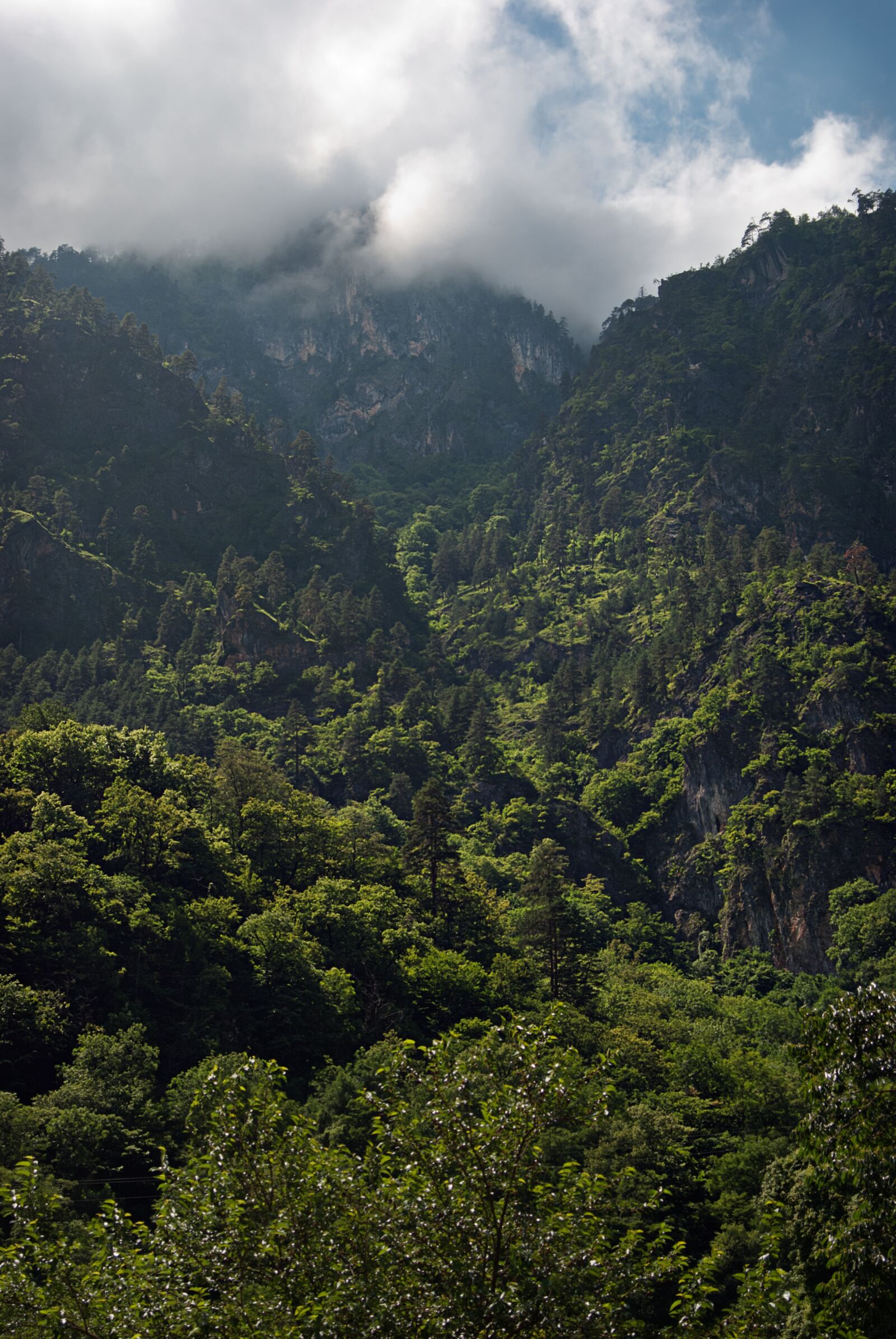 Nikon D80 sample photo. Mountains, nature, landscape photography